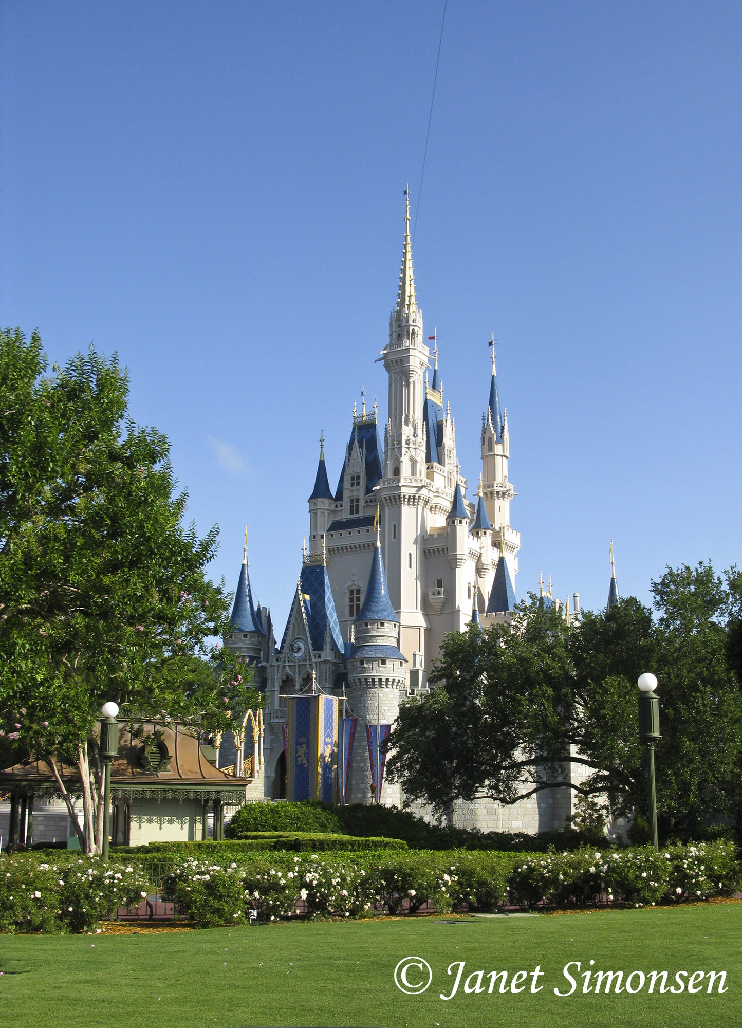 Magic Kingdom - Castle