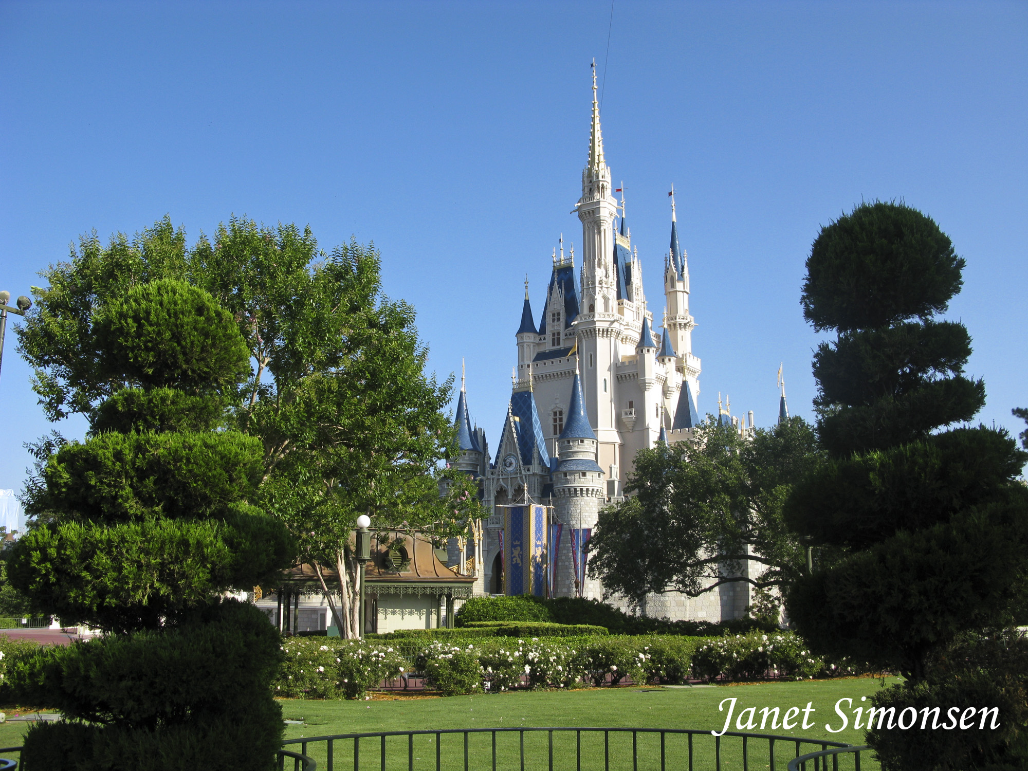 Magic Kingdom - Castle