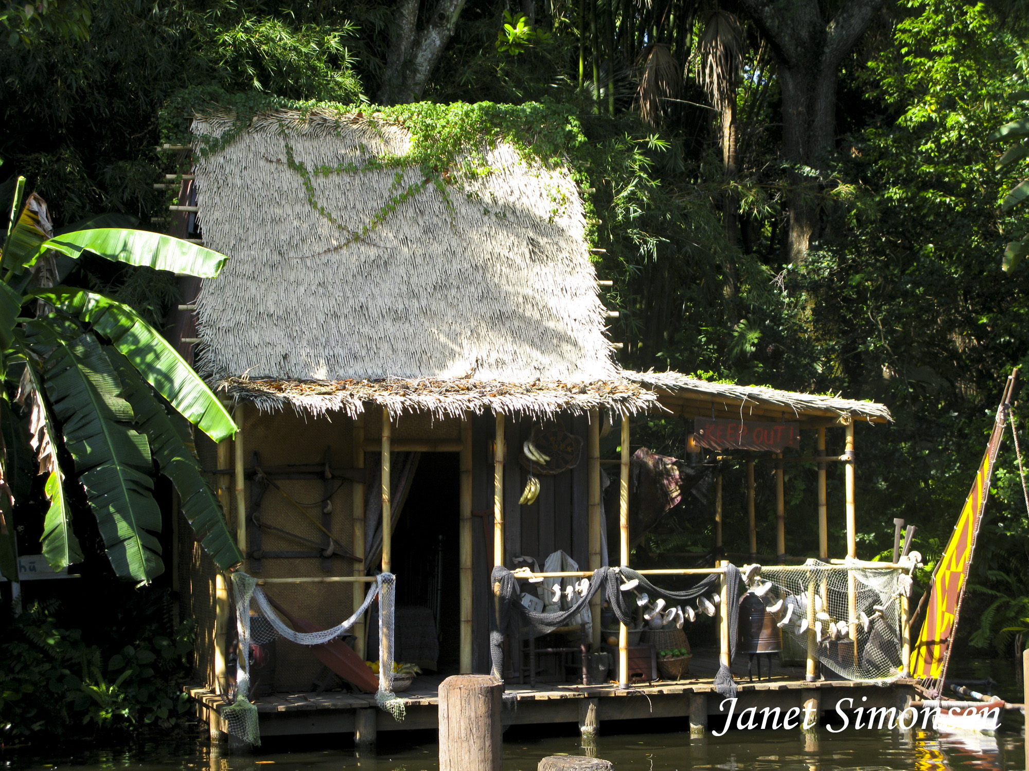 Magic Kingdom - Jungle River Cruise