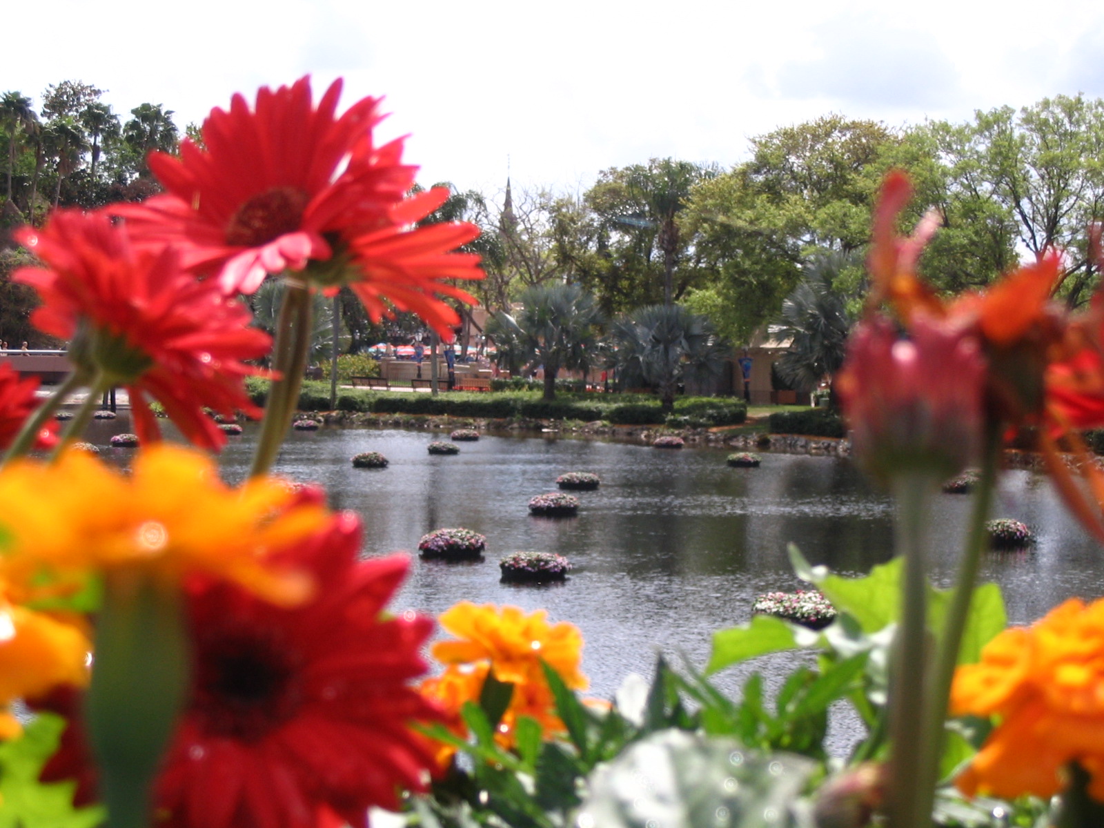 Epcot-Flower &amp; Garden Festival