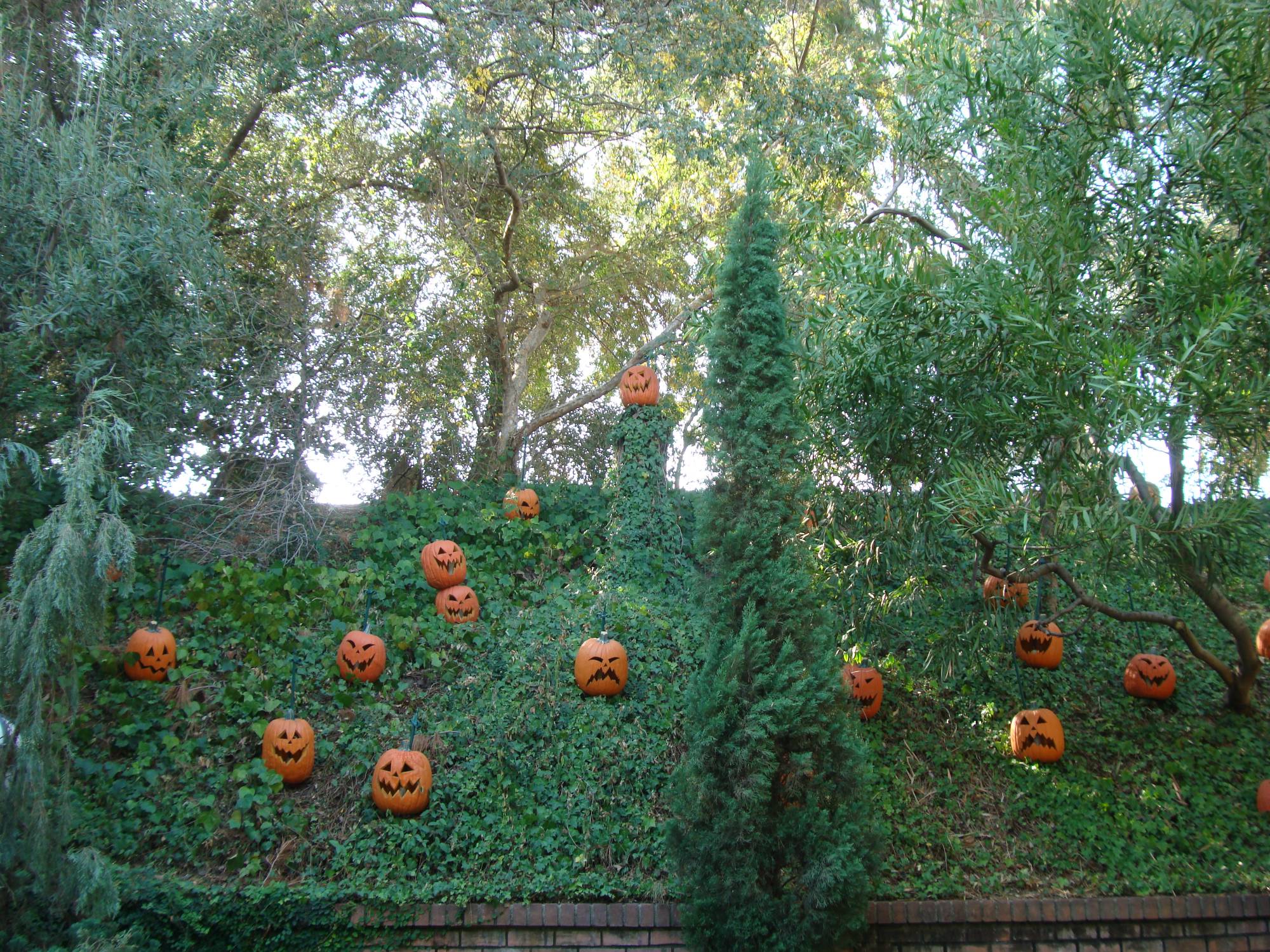 Disneyland - Haunted Mansion Holiday