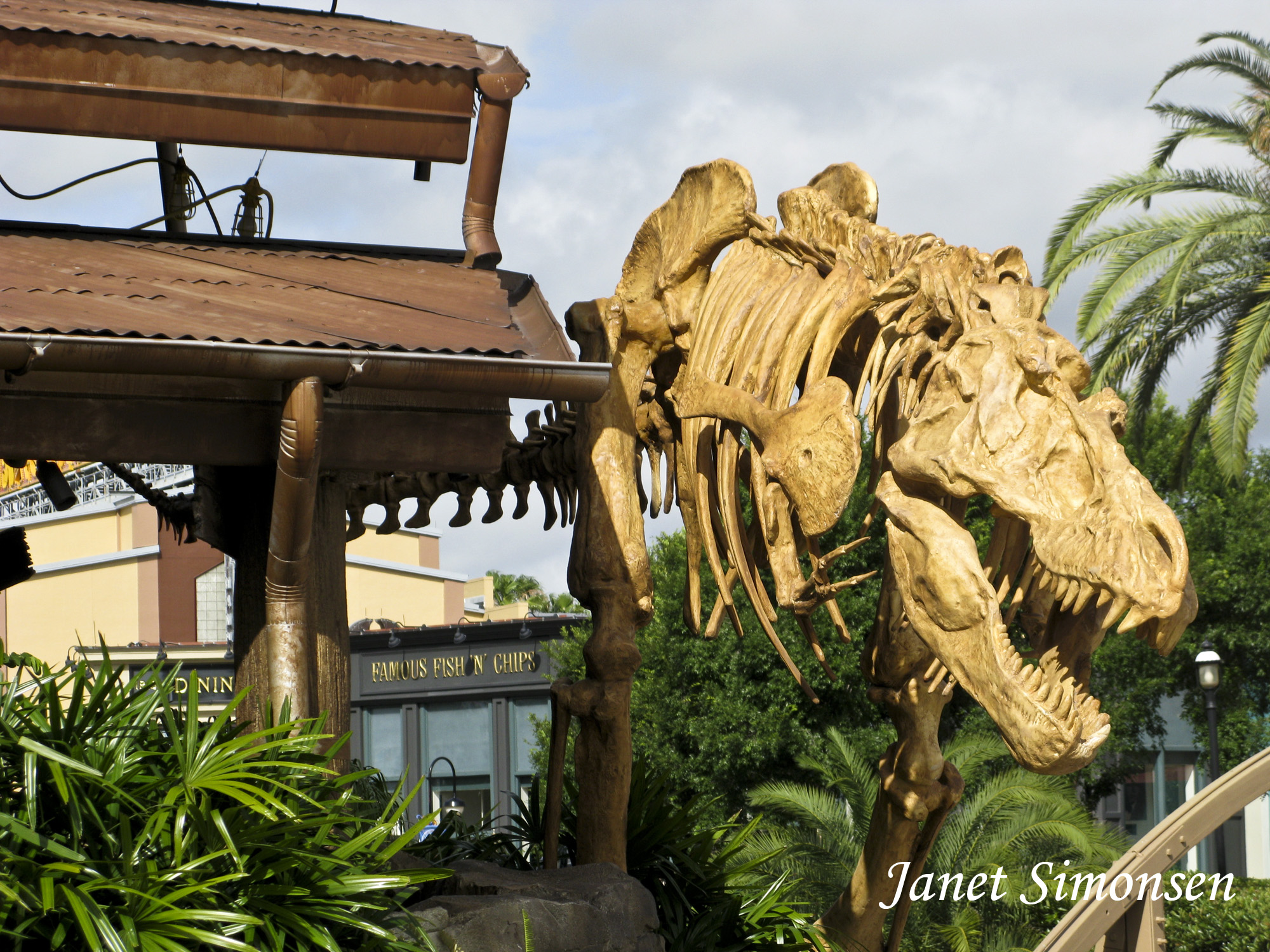 Downtown Disney - Marketplace