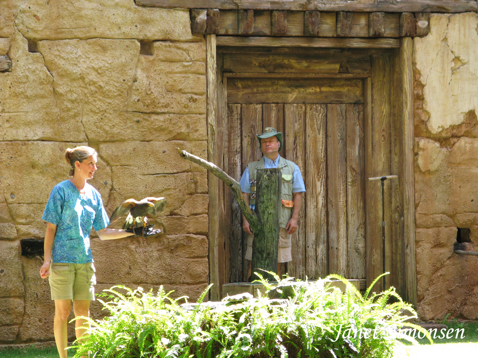 Animal Kingdom - Flights of Wonder