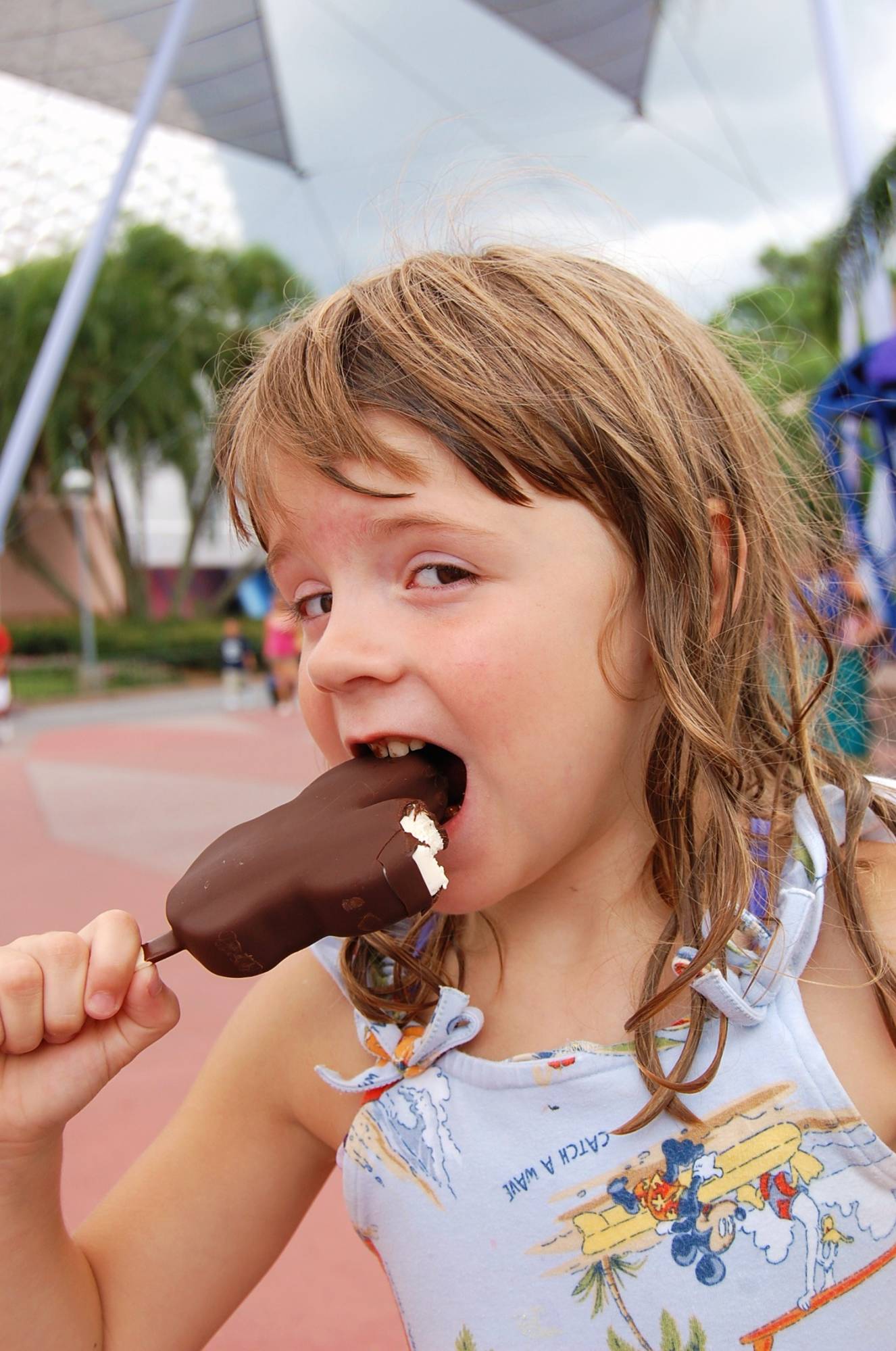 Mickey Ice Cream Bars