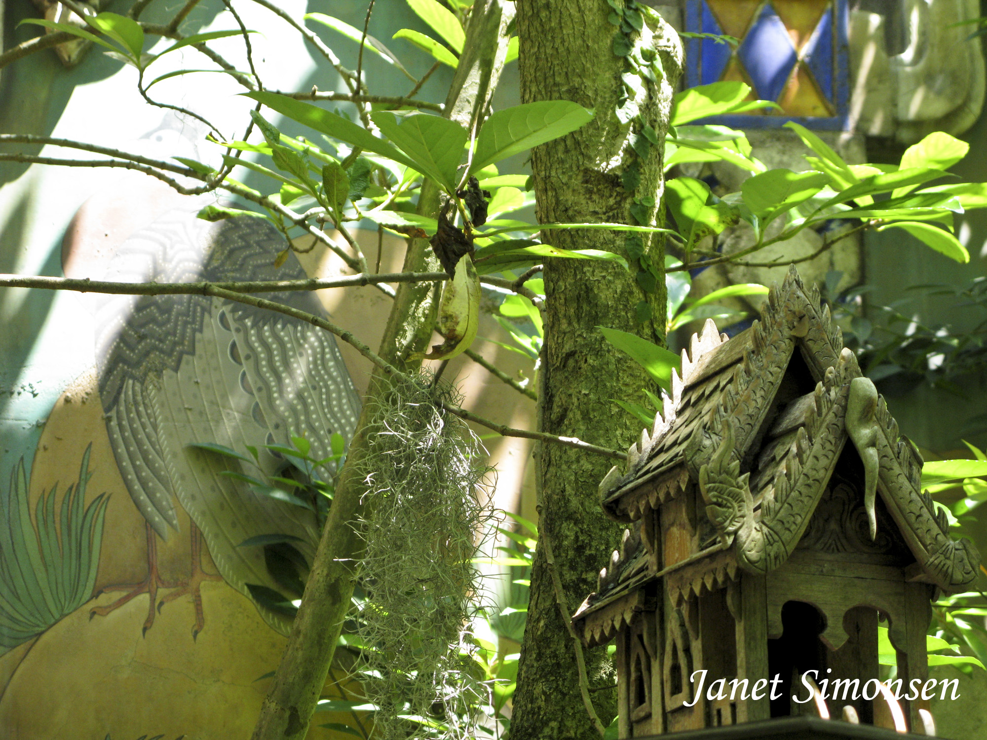 Animal Kingdom - Maharajah Jungle Trek