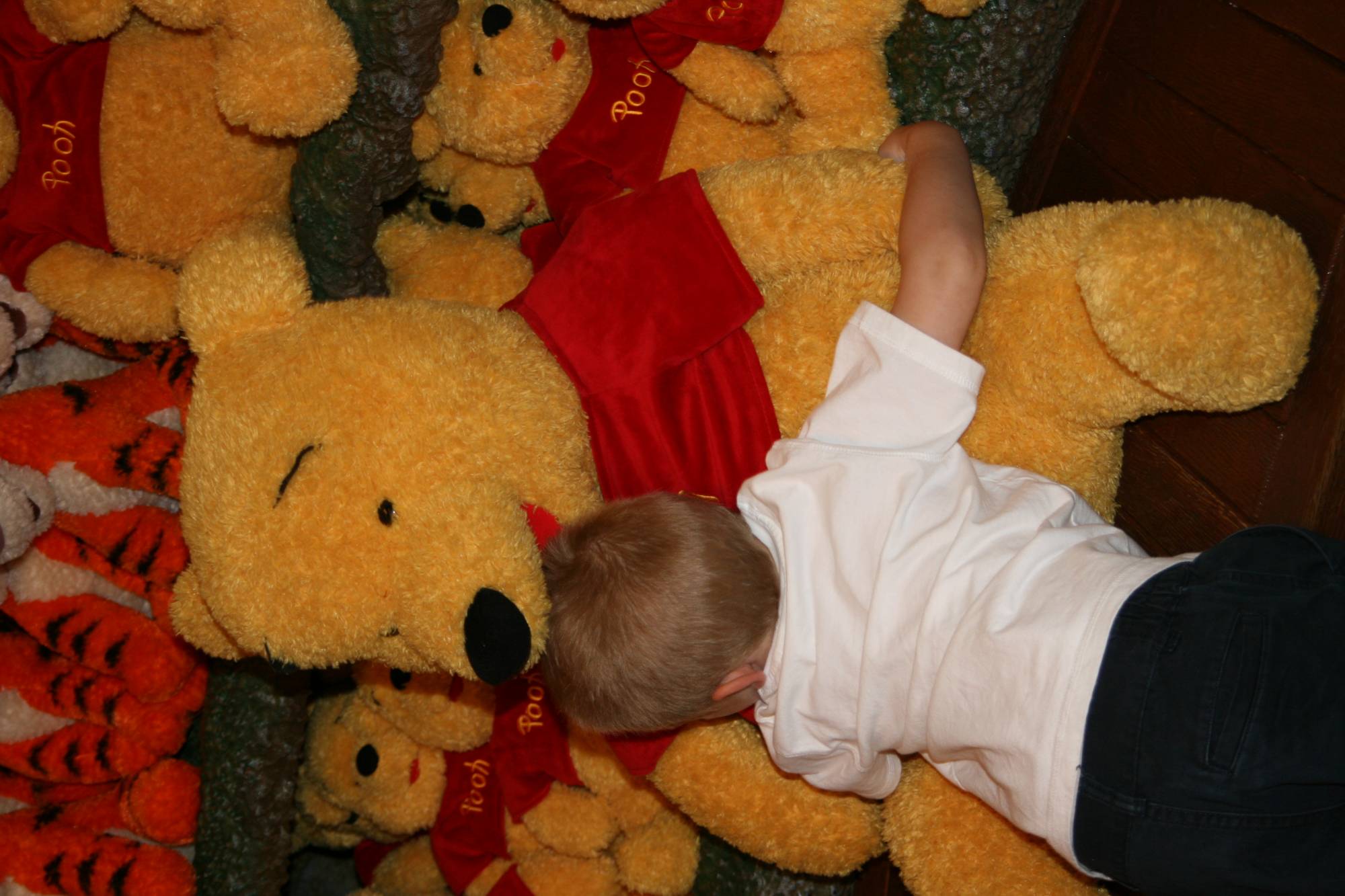 Downtown Disney-Pooh Corner