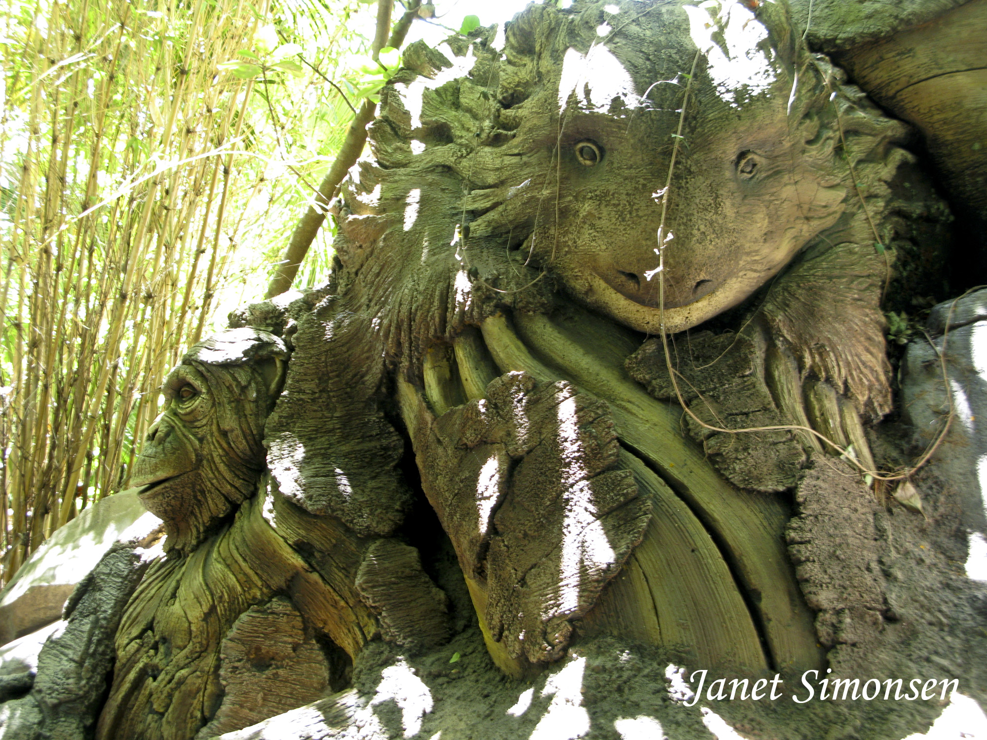 Animal Kingdom - Discovery Island