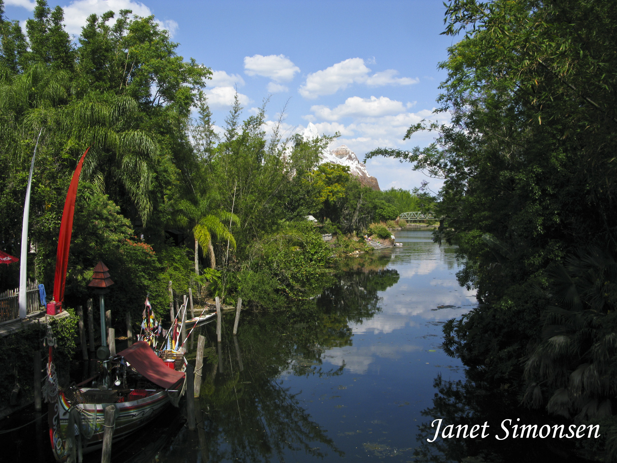 Animal Kingdom - Scenery