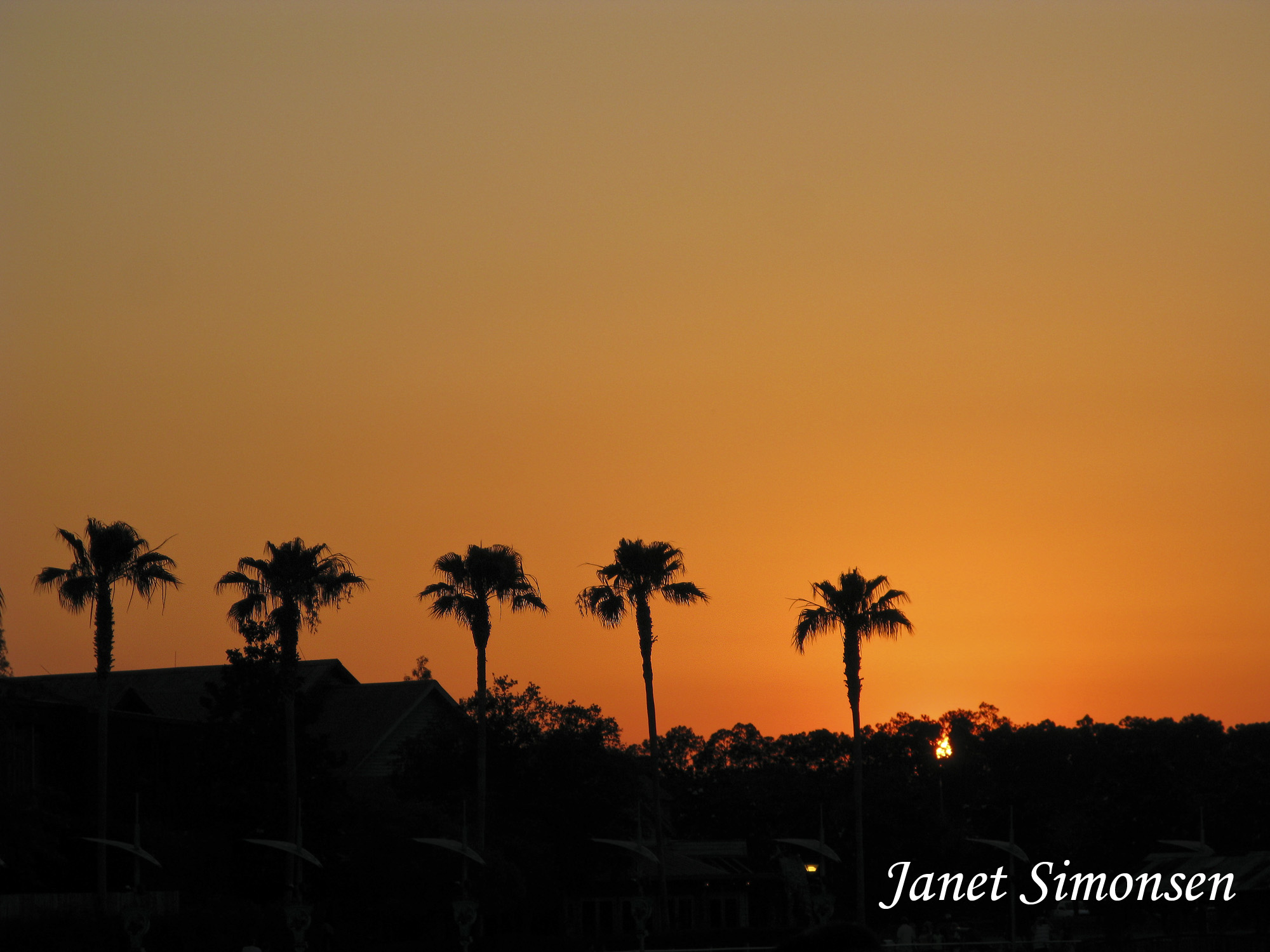 Downtown Disney - West Side Sunset