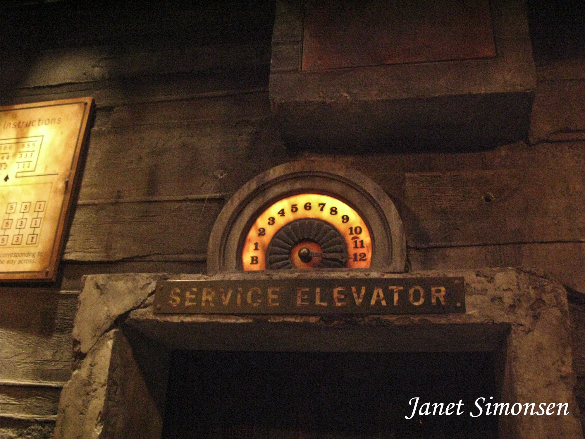 Disney Hollywood Studios- Tower of Terror