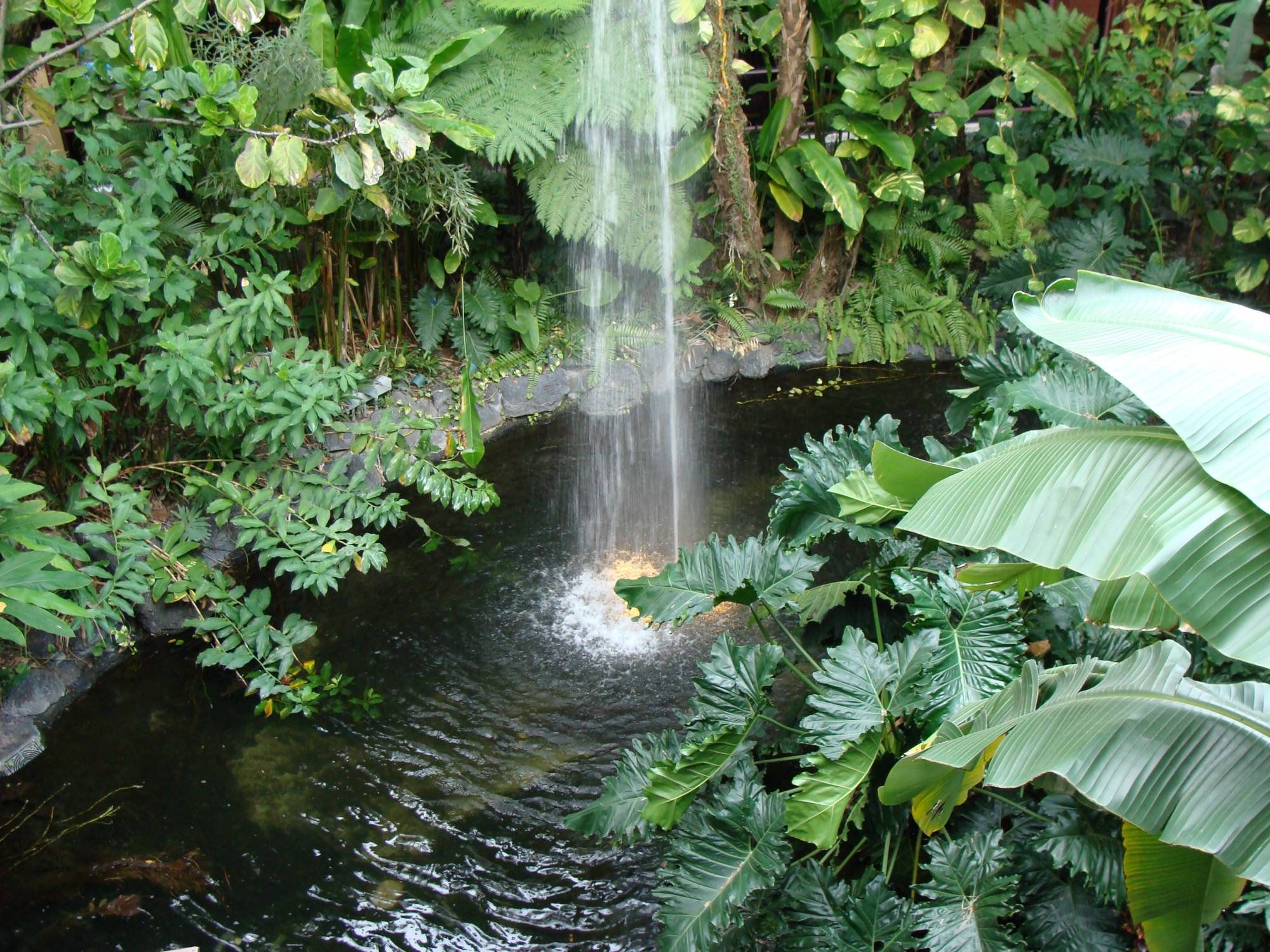 Polynesian grounds