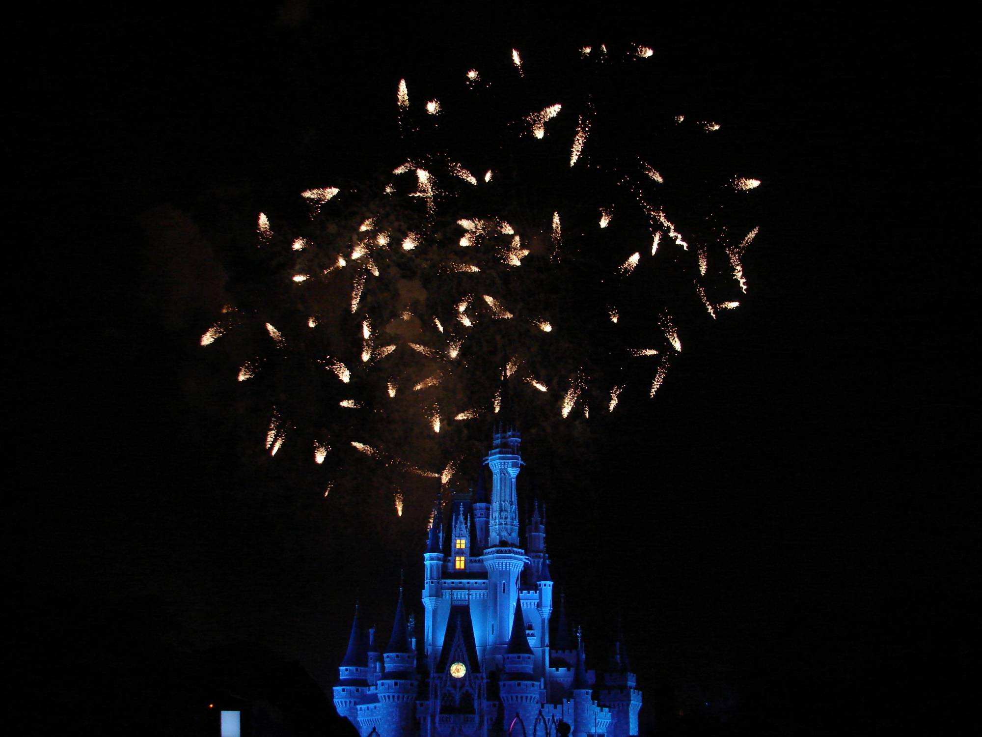 Wishes