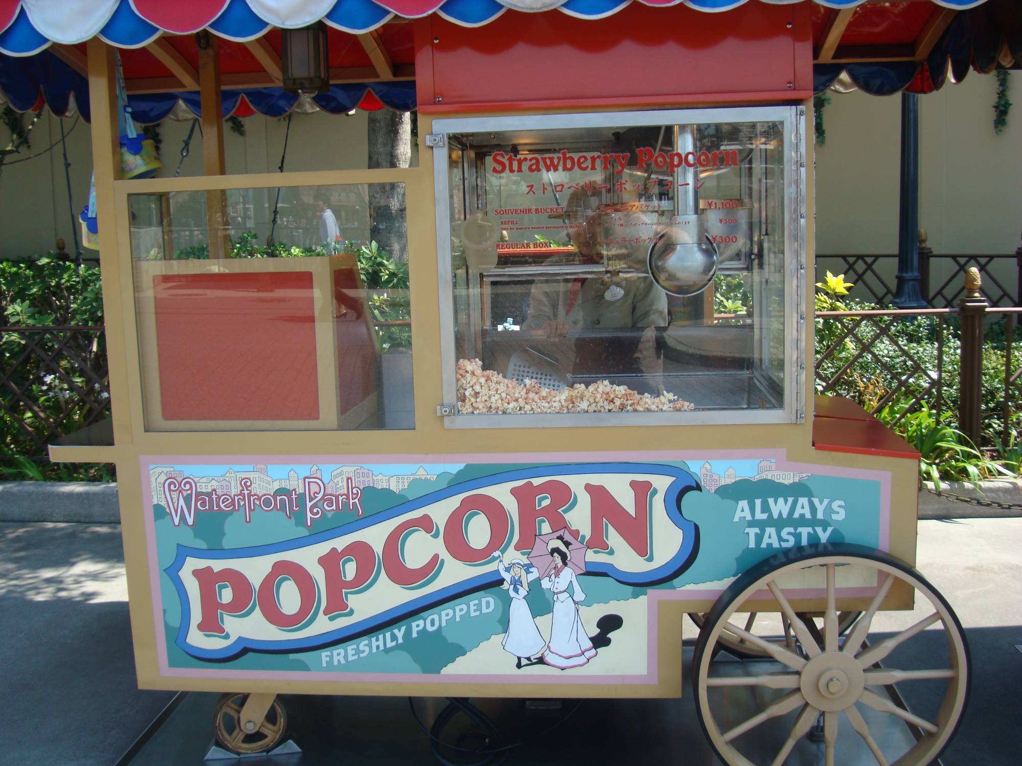 Tokyo DisneySea - popcorn