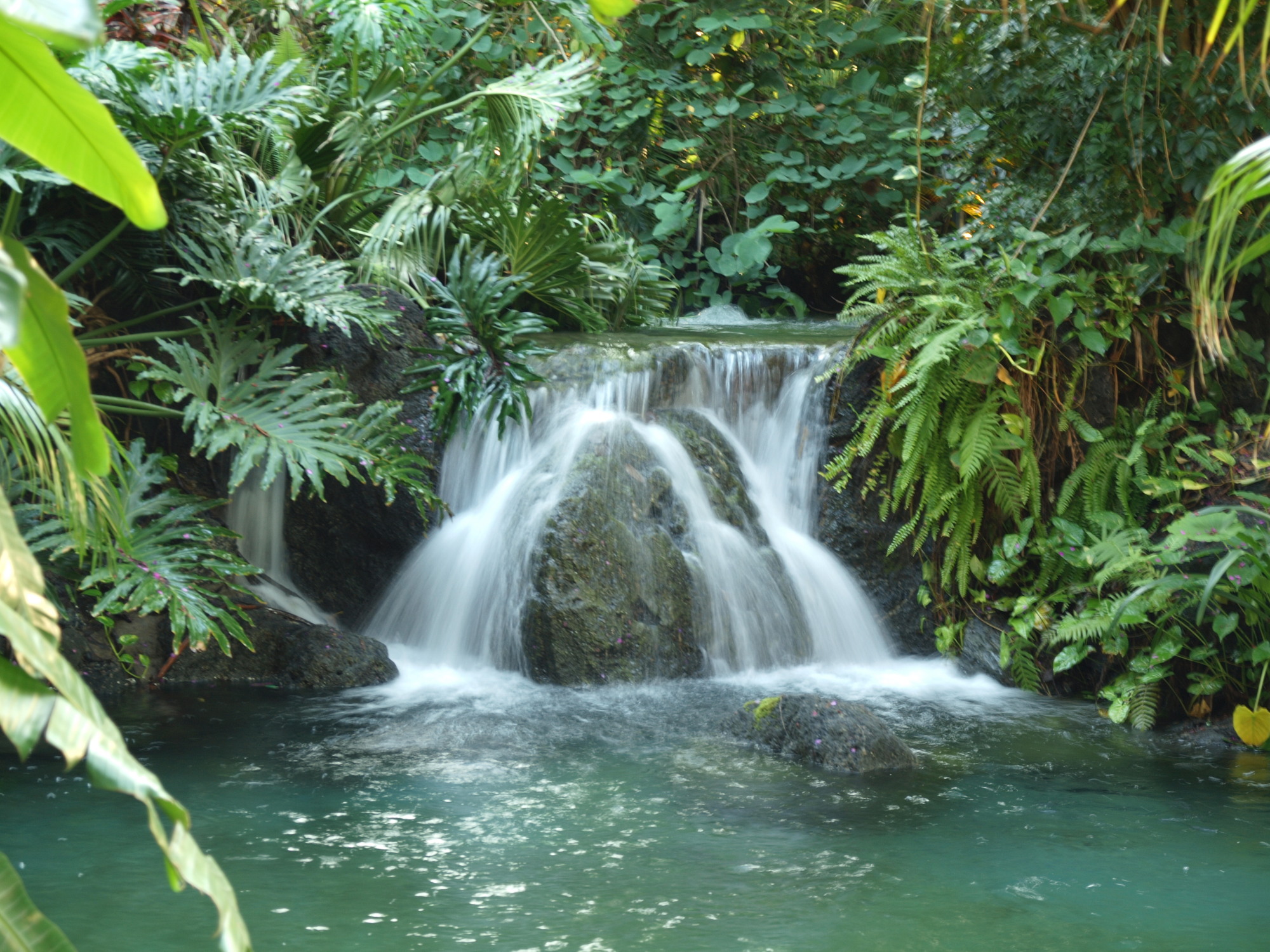 Polynesian - Waterfall - Enterance