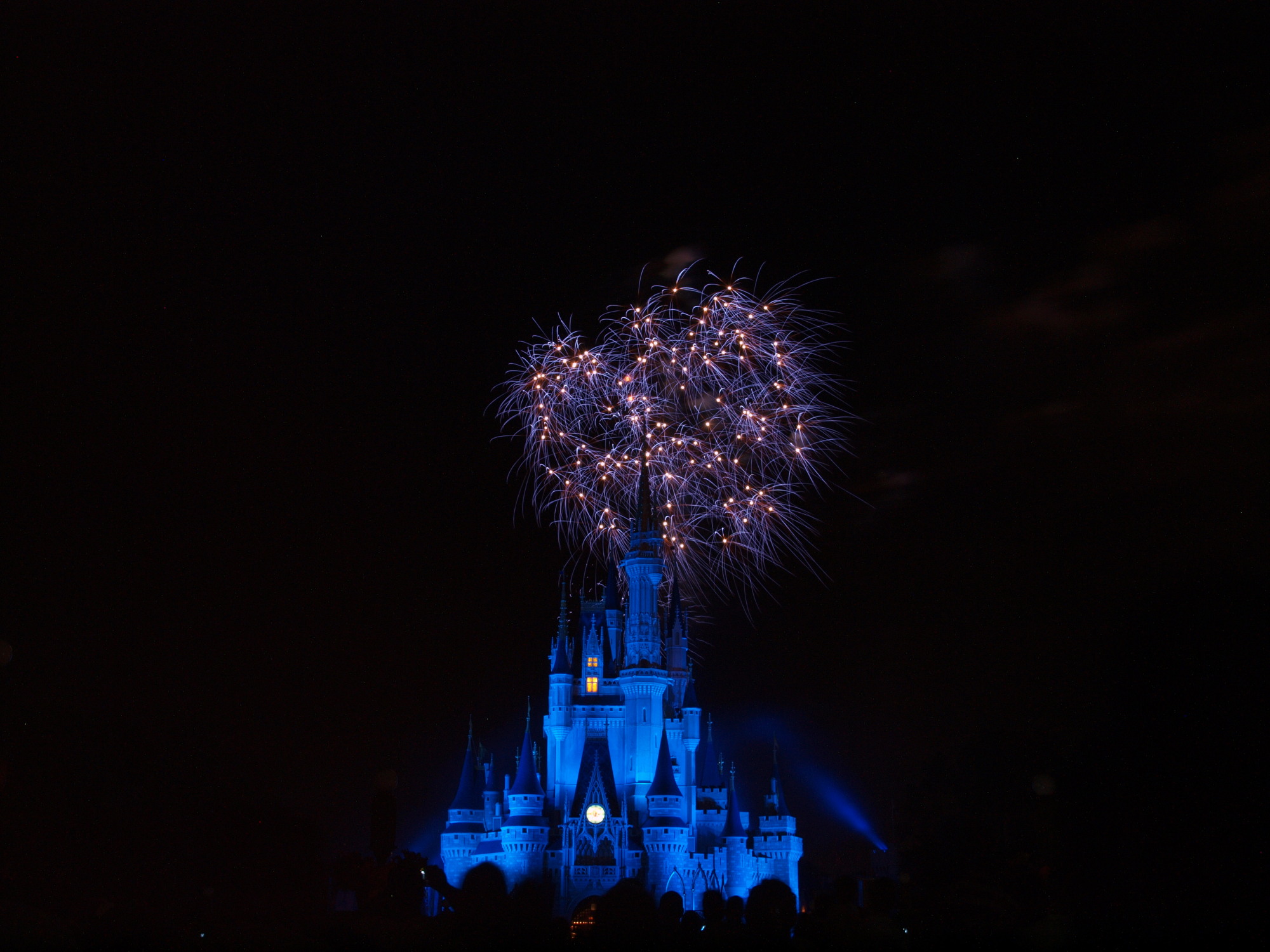 Wishes Fireworks - Magic Kingdom