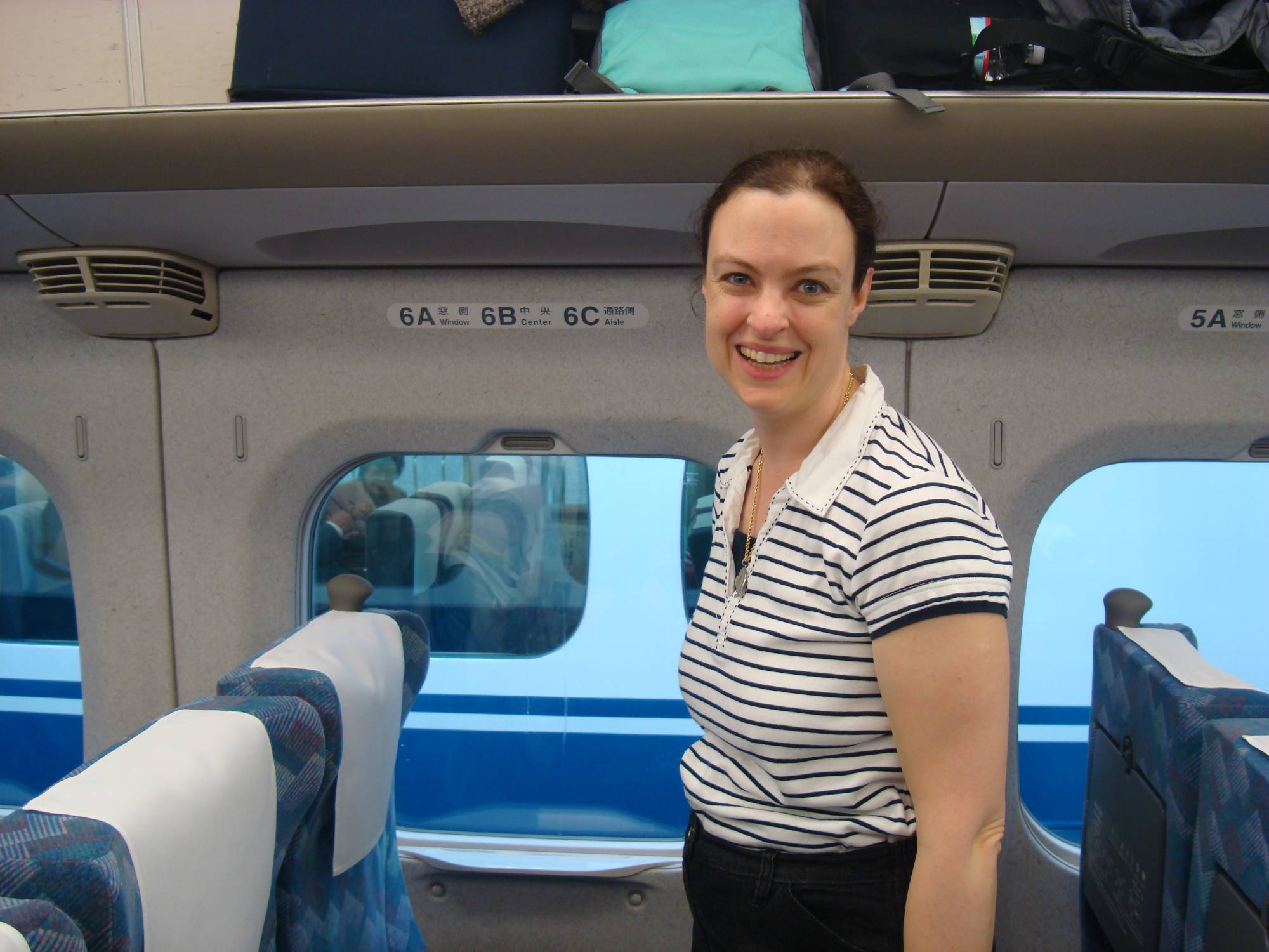 Japan - on board the Shinkansen