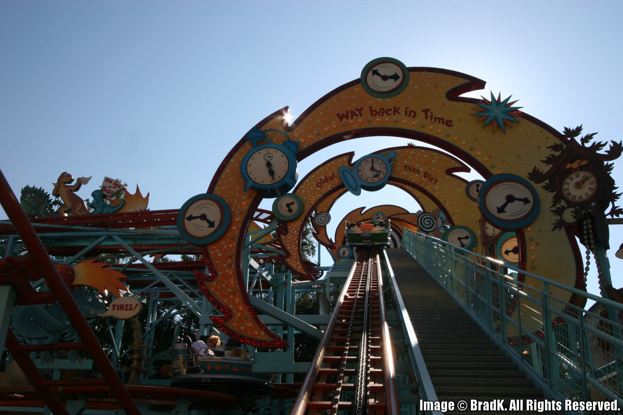 Animal Kingdom - Primeval Whirl