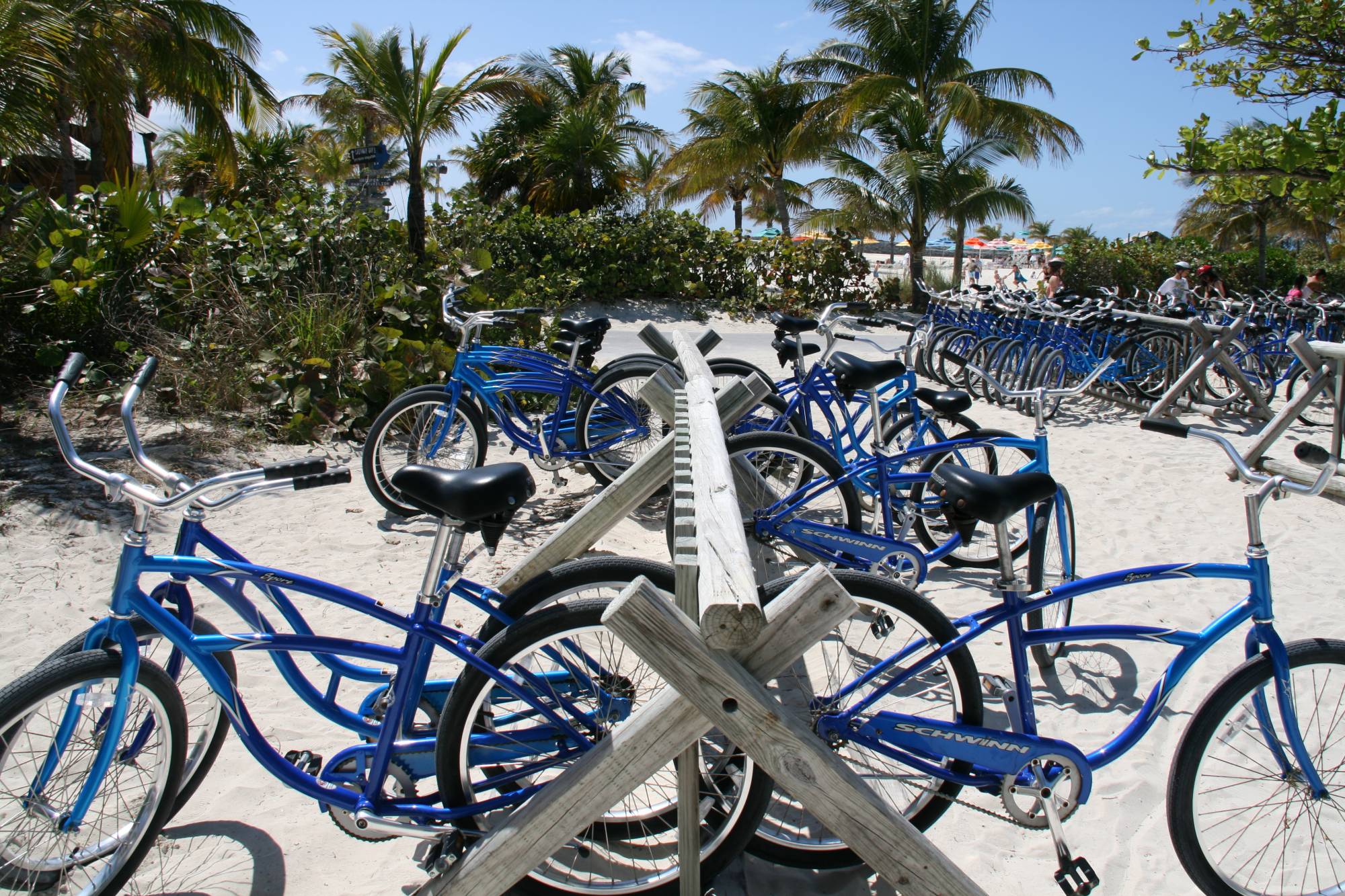 Castaway Cay Bike Rental