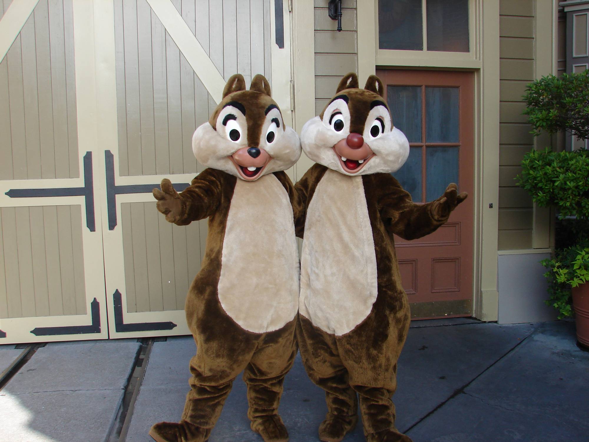 Chip and Dale