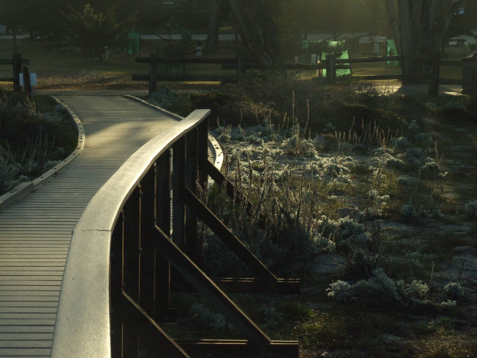 Monterey Boardwalk