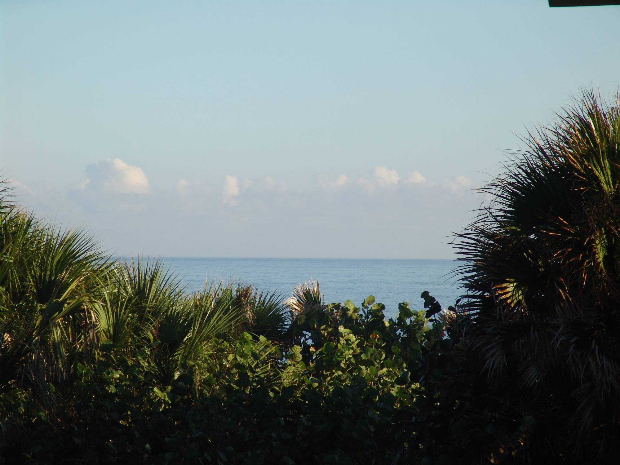 Vero Beach - ocean view
