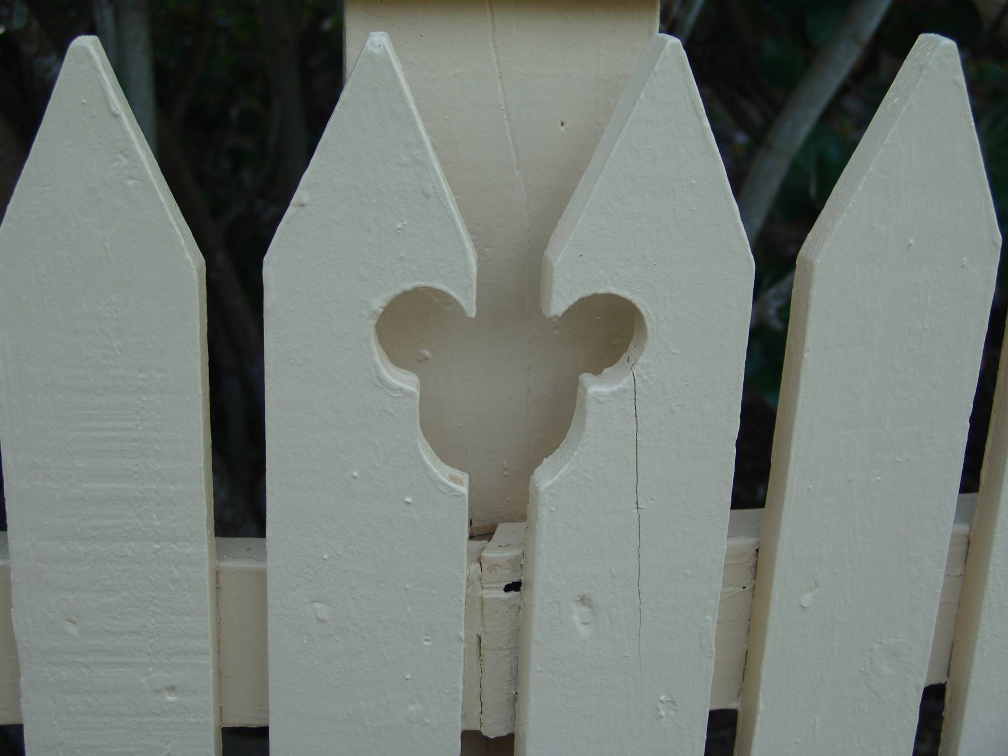 Vero Beach - Mickey shaped fencing