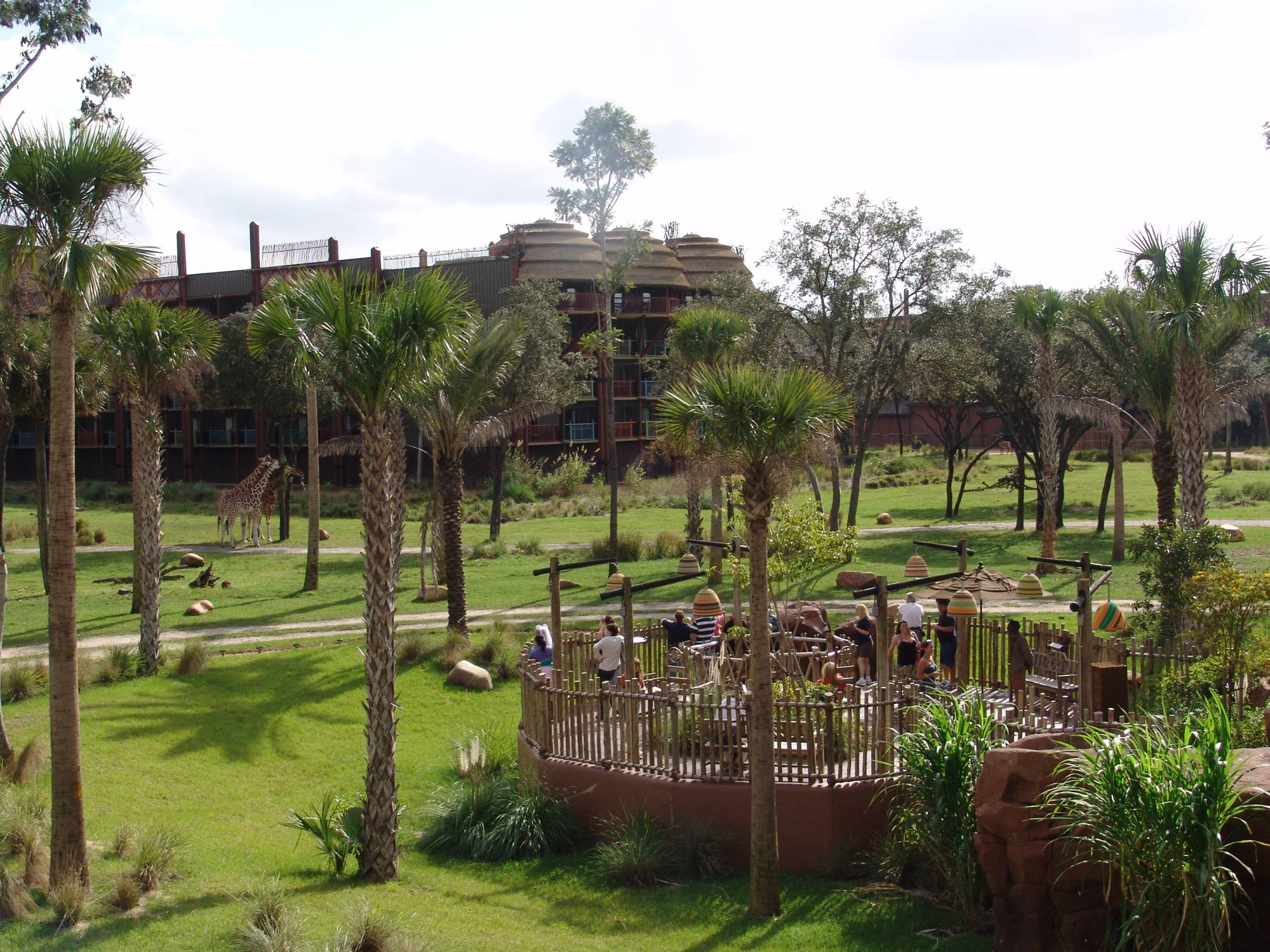 Animal Kingdom Lodge - Kidani Village savannah