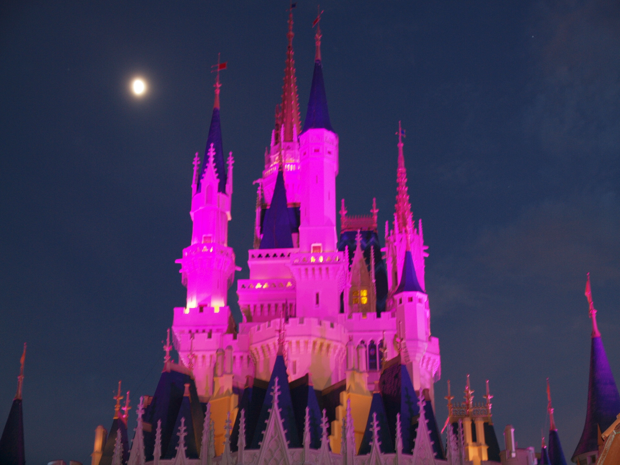 Magic Kingdom - Cinderella's Castle