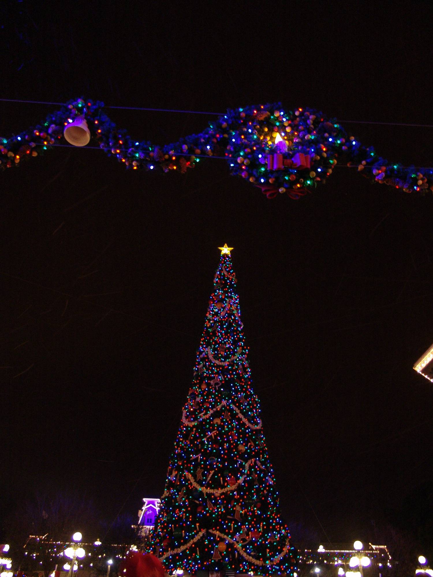 Magic Kingdom - Christmas tree