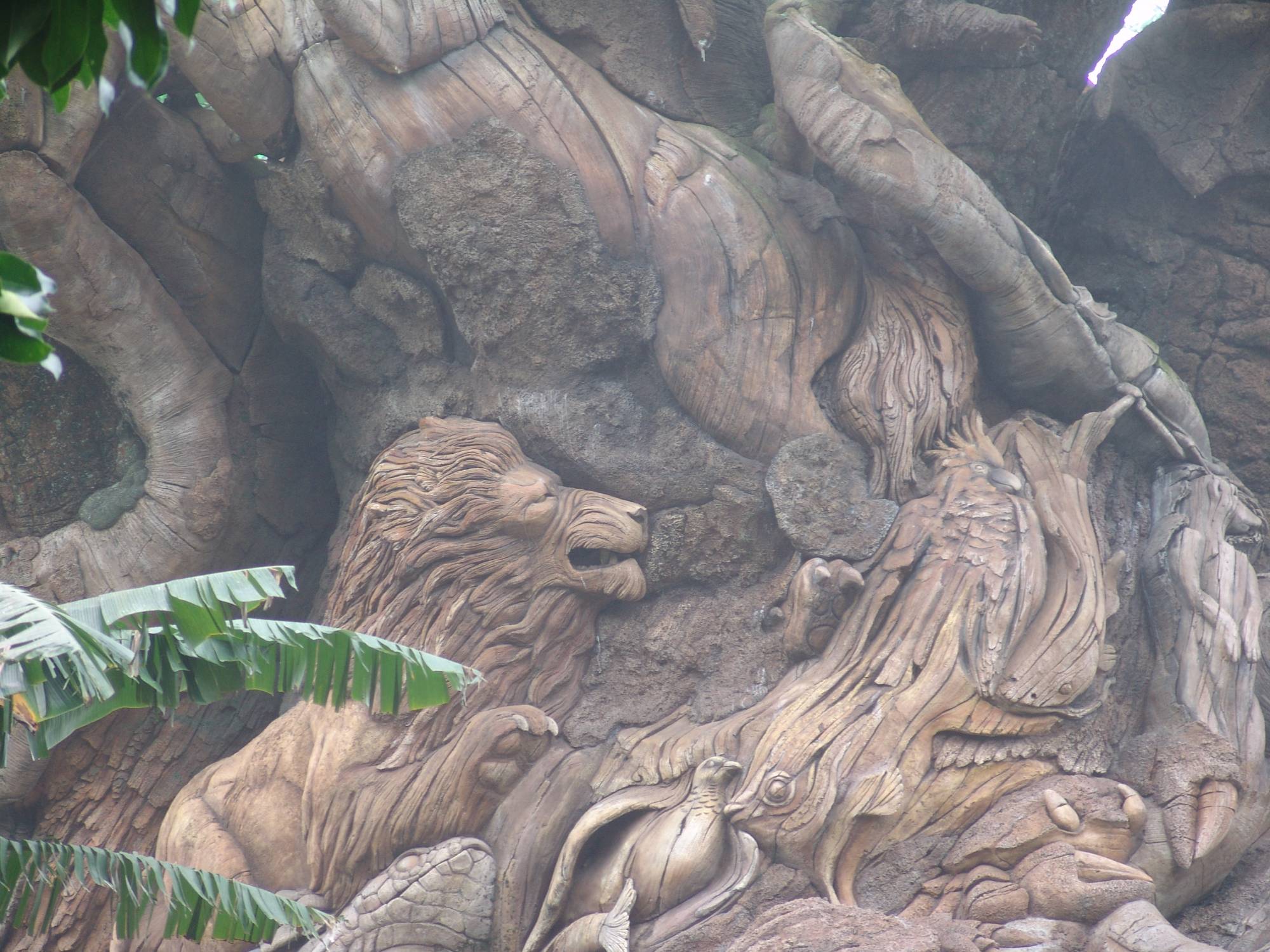 Animal Kingdom - Tree of Life