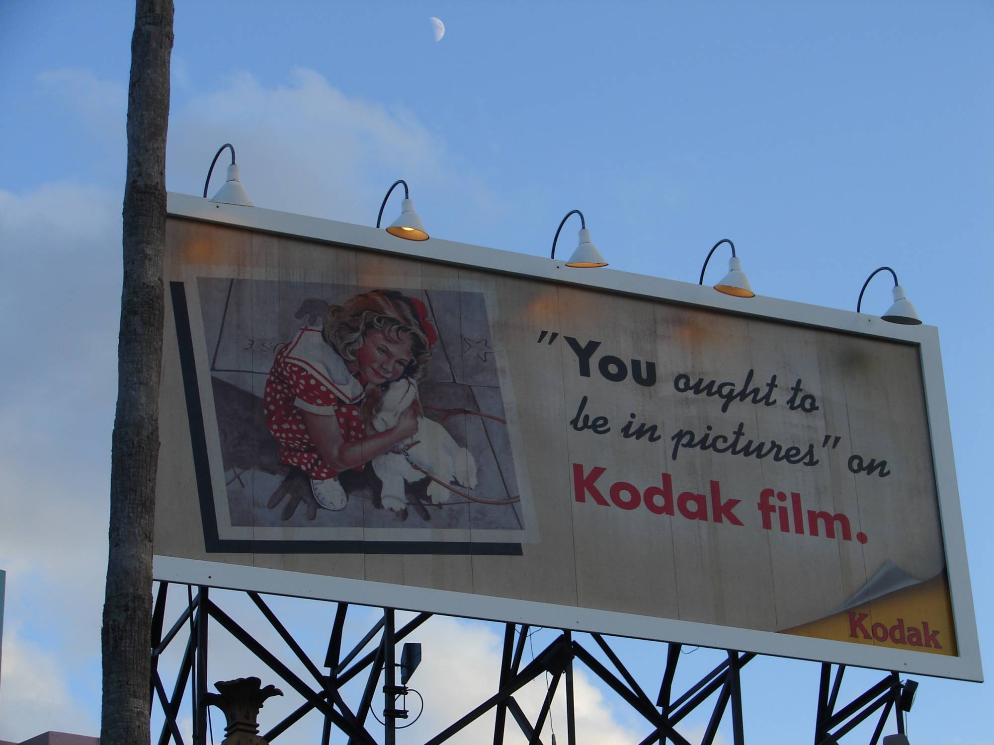 Disney's Hollywood Studios - Billboards/Windows