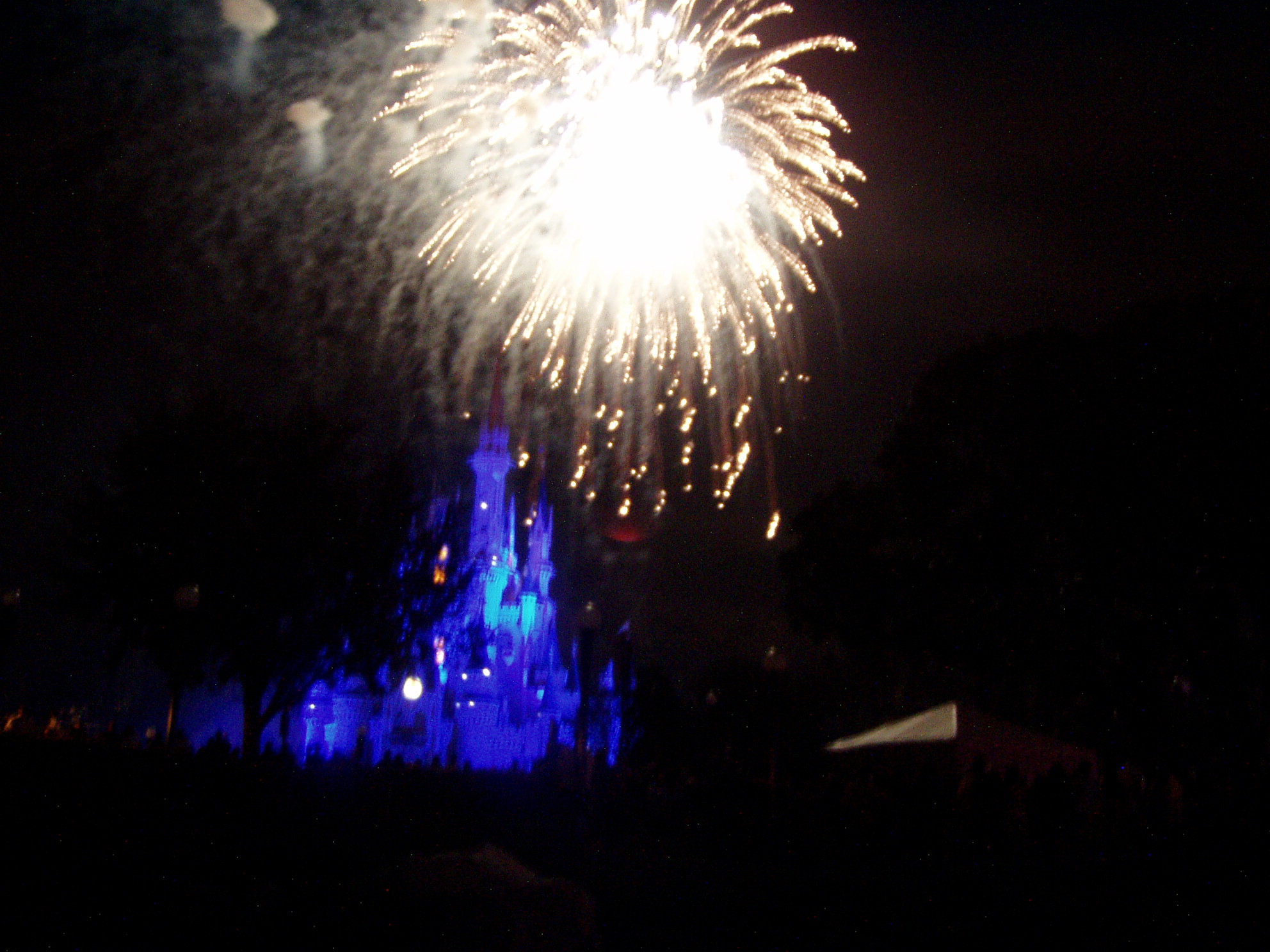 Magic Kingdom - Wishes Fireworks