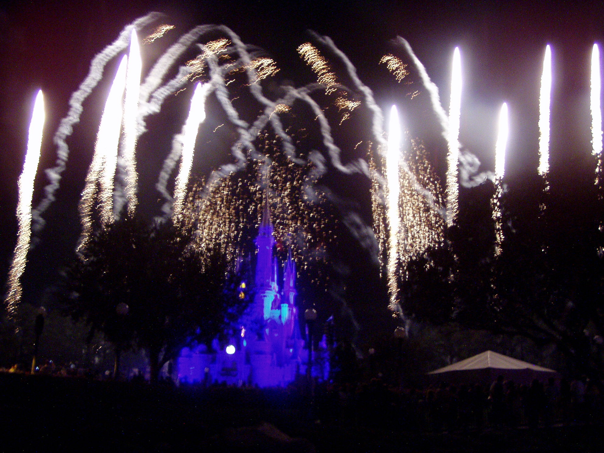 Magic Kingdom - Wishes Fireworks