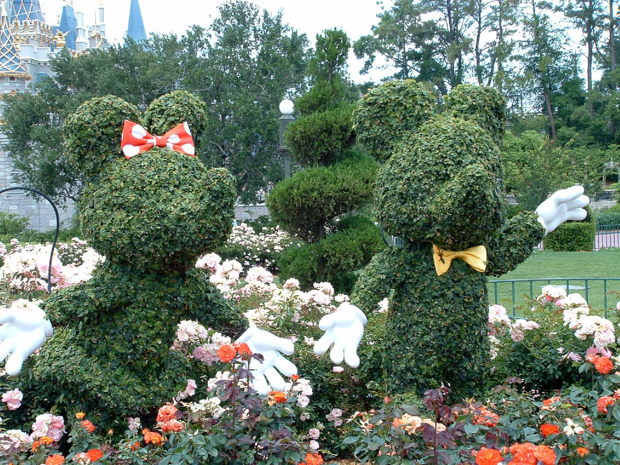 Magic Kingdom - Mickey and Minnie Topiary