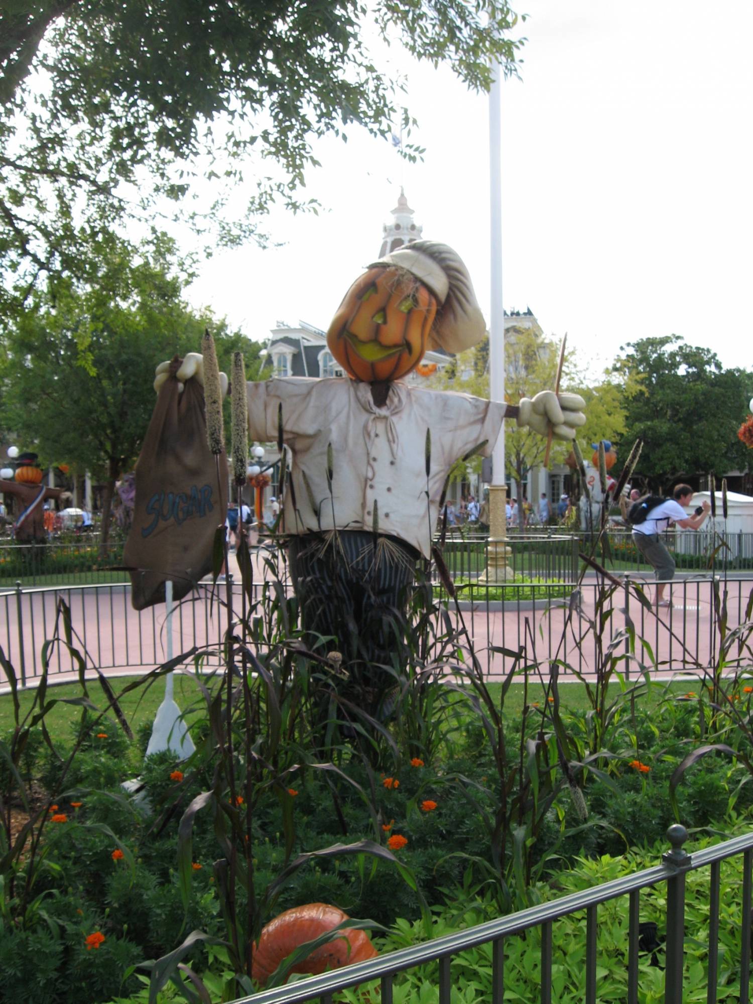 Magic Kingdom - Halloween - Scarecrow