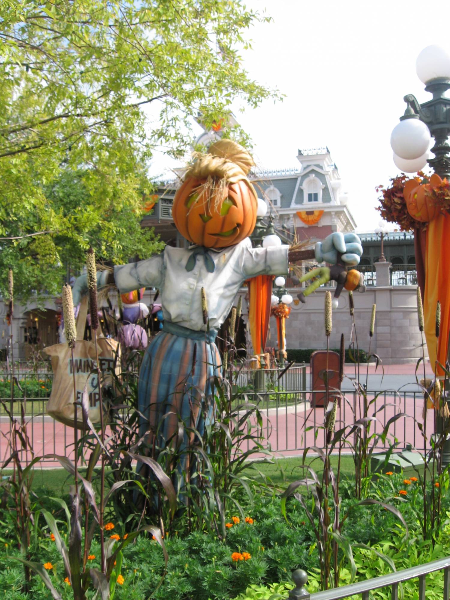 Magic Kingdom - Halloween - Scarecrow