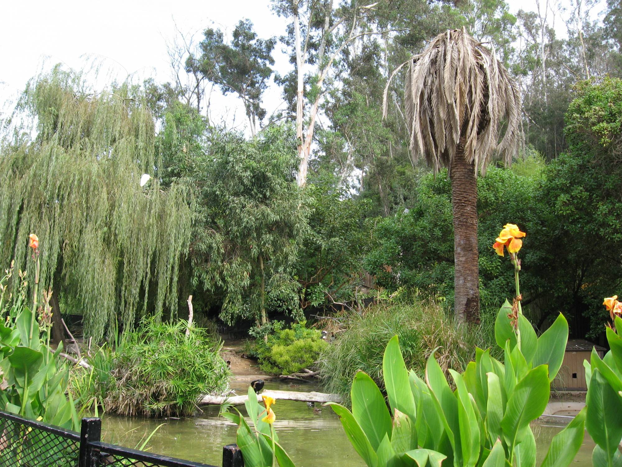 San Diego Zoo - An Estuary