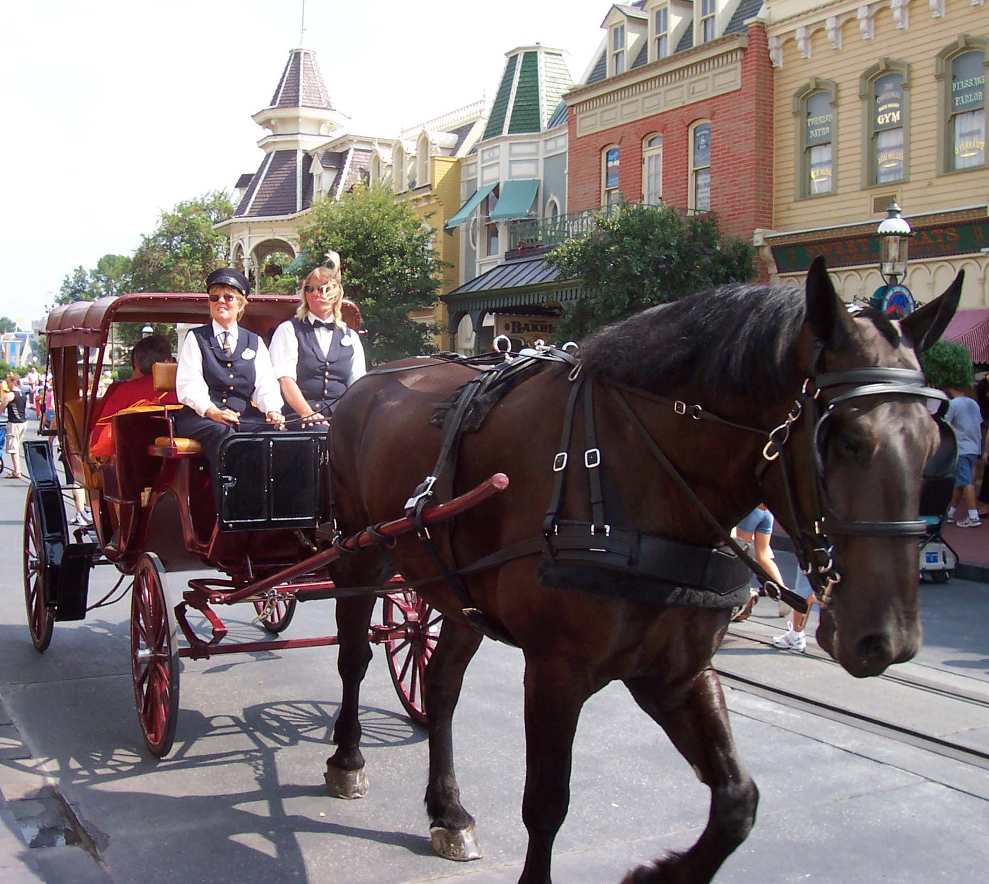 Main Street - Horse Drawn Carriage ride