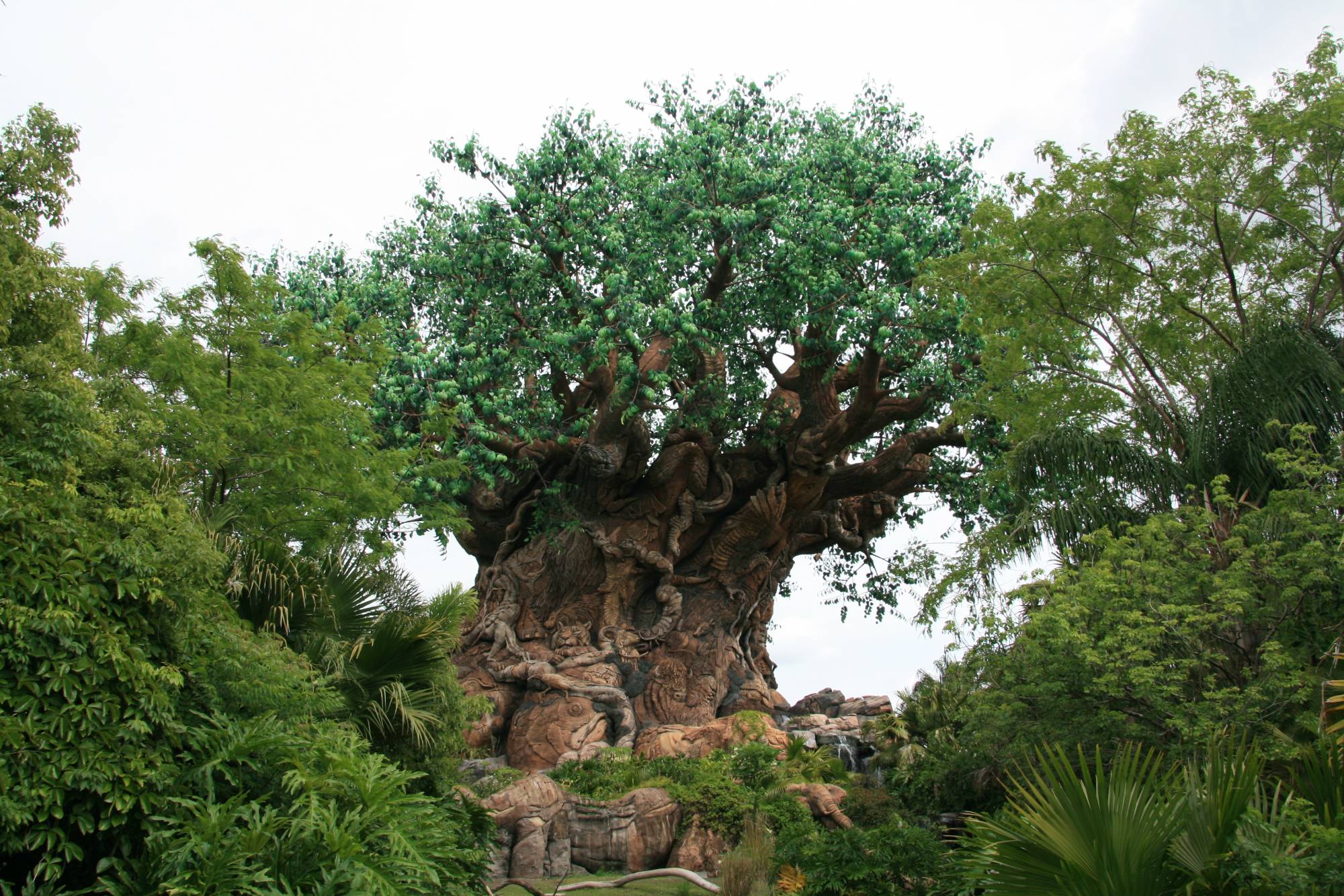 Disney's Animal Kingdom - The Tree of Life