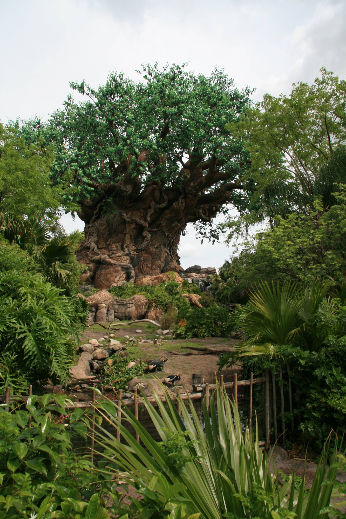 Disney's Animal Kingdom - The Tree of Life