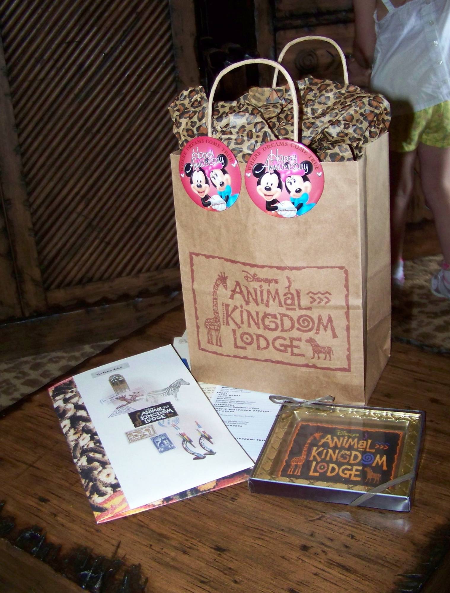Our Surprise Package at Animal Kingdom Villa Jambo House