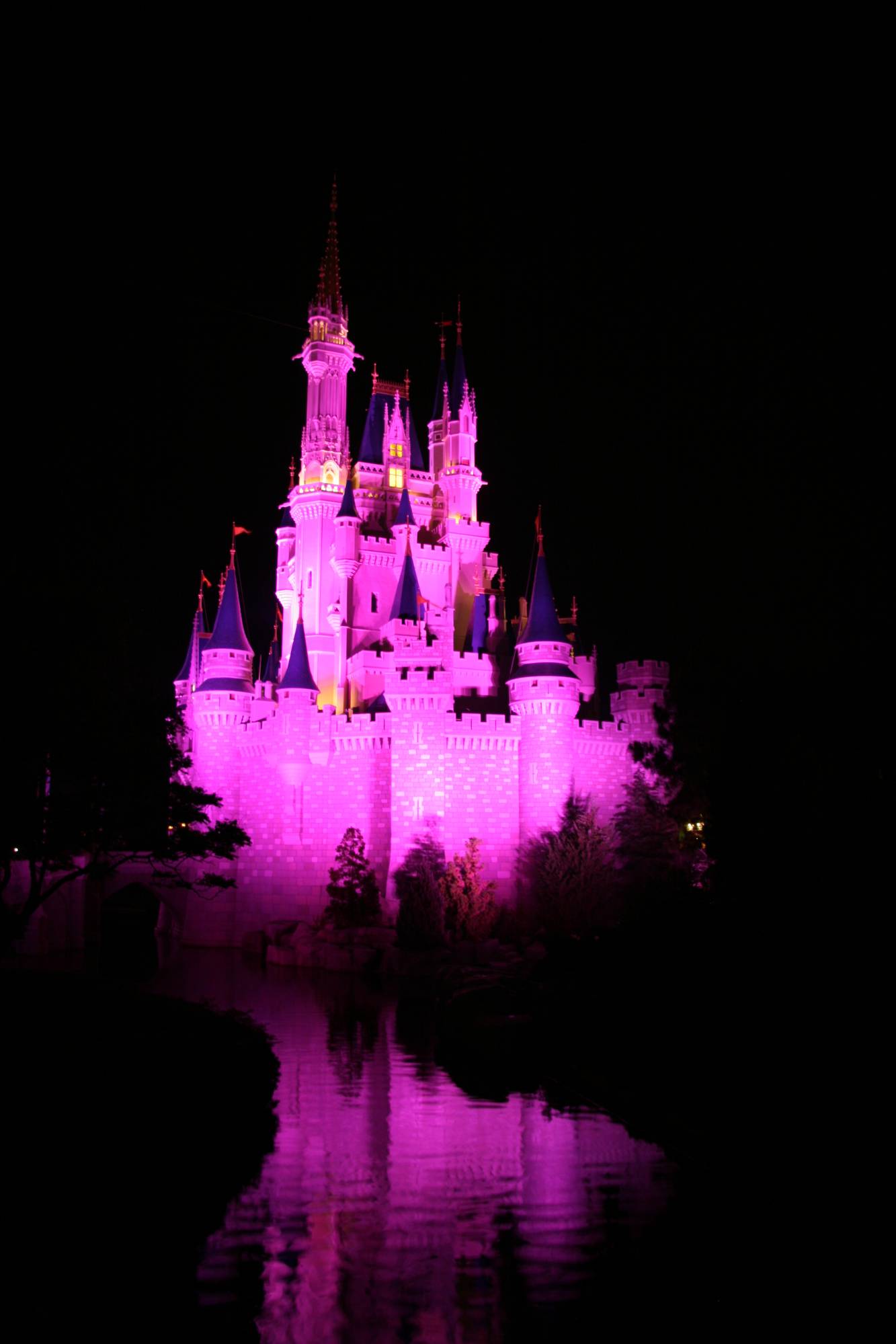 Magic Kingdom - Cinderells'a Castle at Night