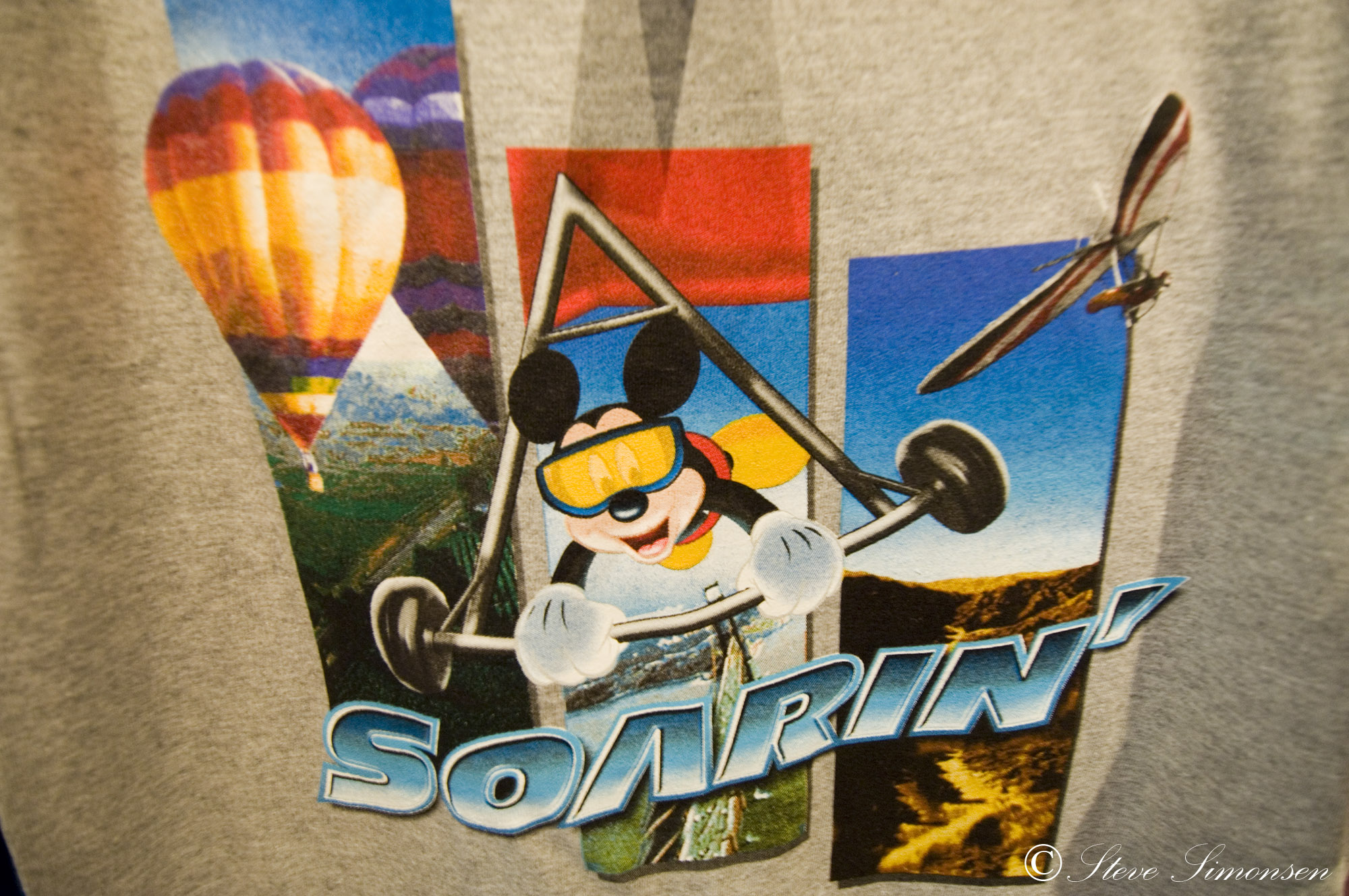 Epcot - Soarin logo