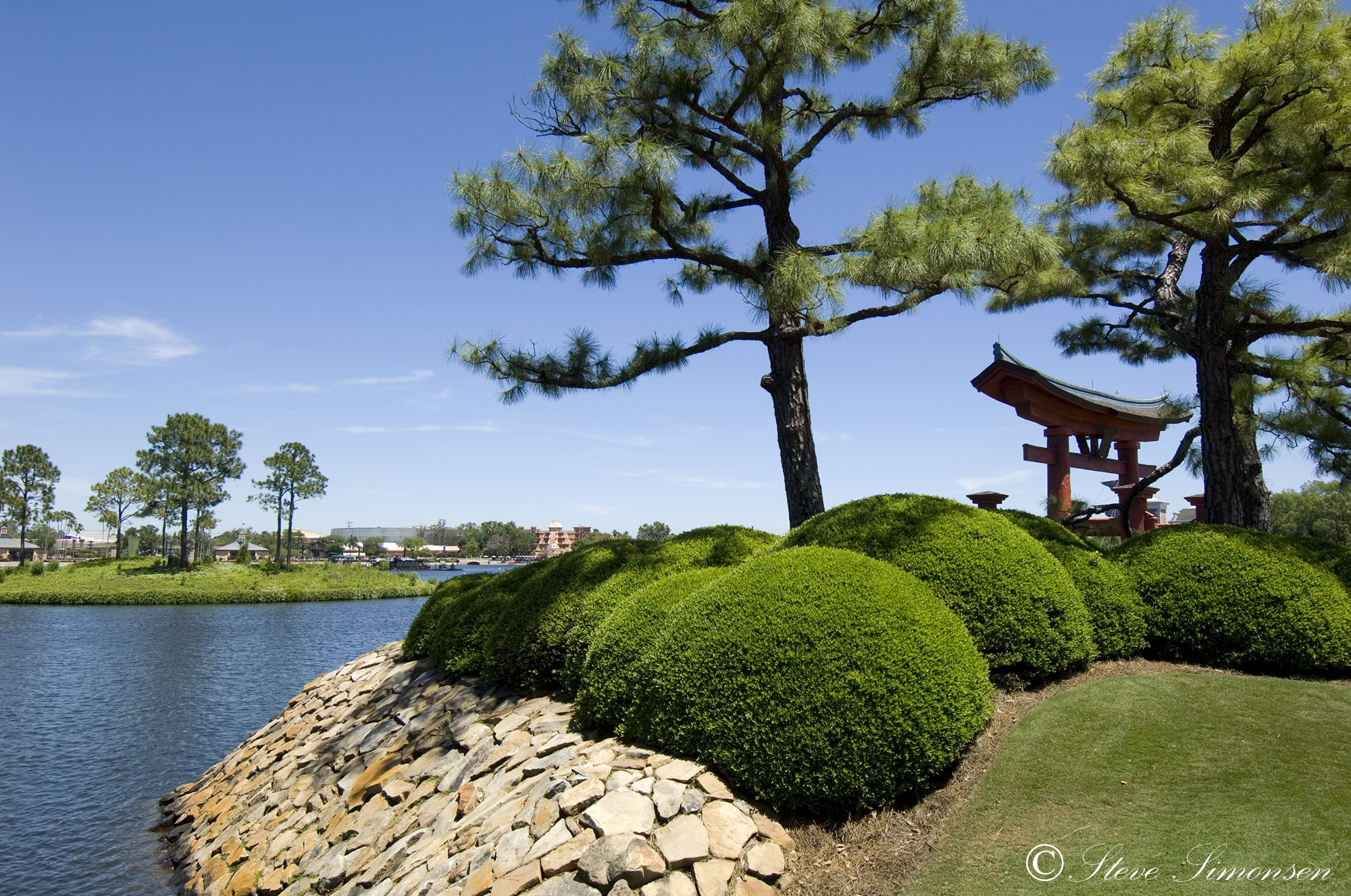 Epcot - Trees Across from the Japan Pavilion