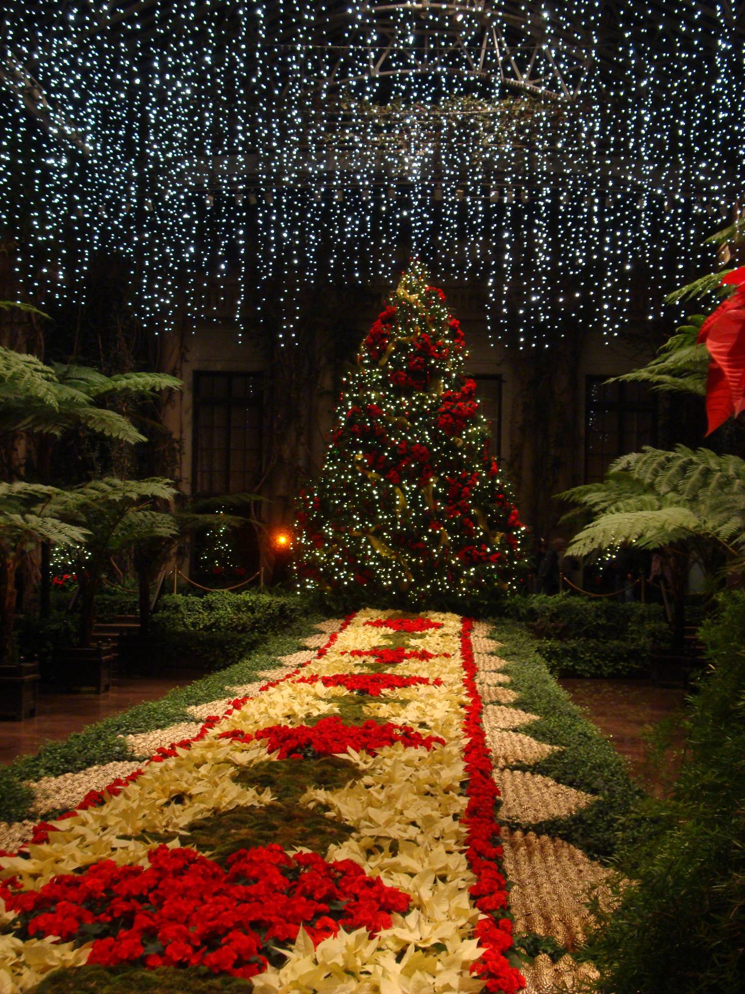 Longwood Gardens - Christmas display