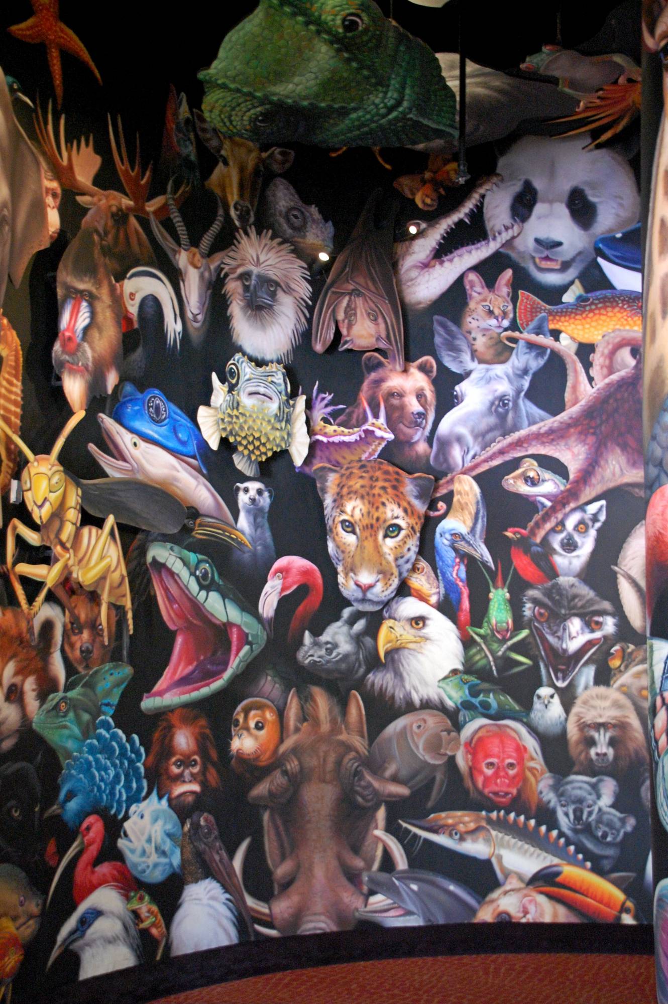 Animal Kingdom - Animal Wall Mural