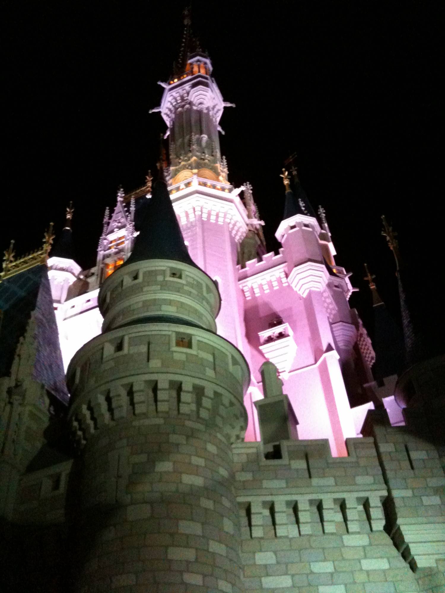 Magic Kingdom - Cool castle pics!