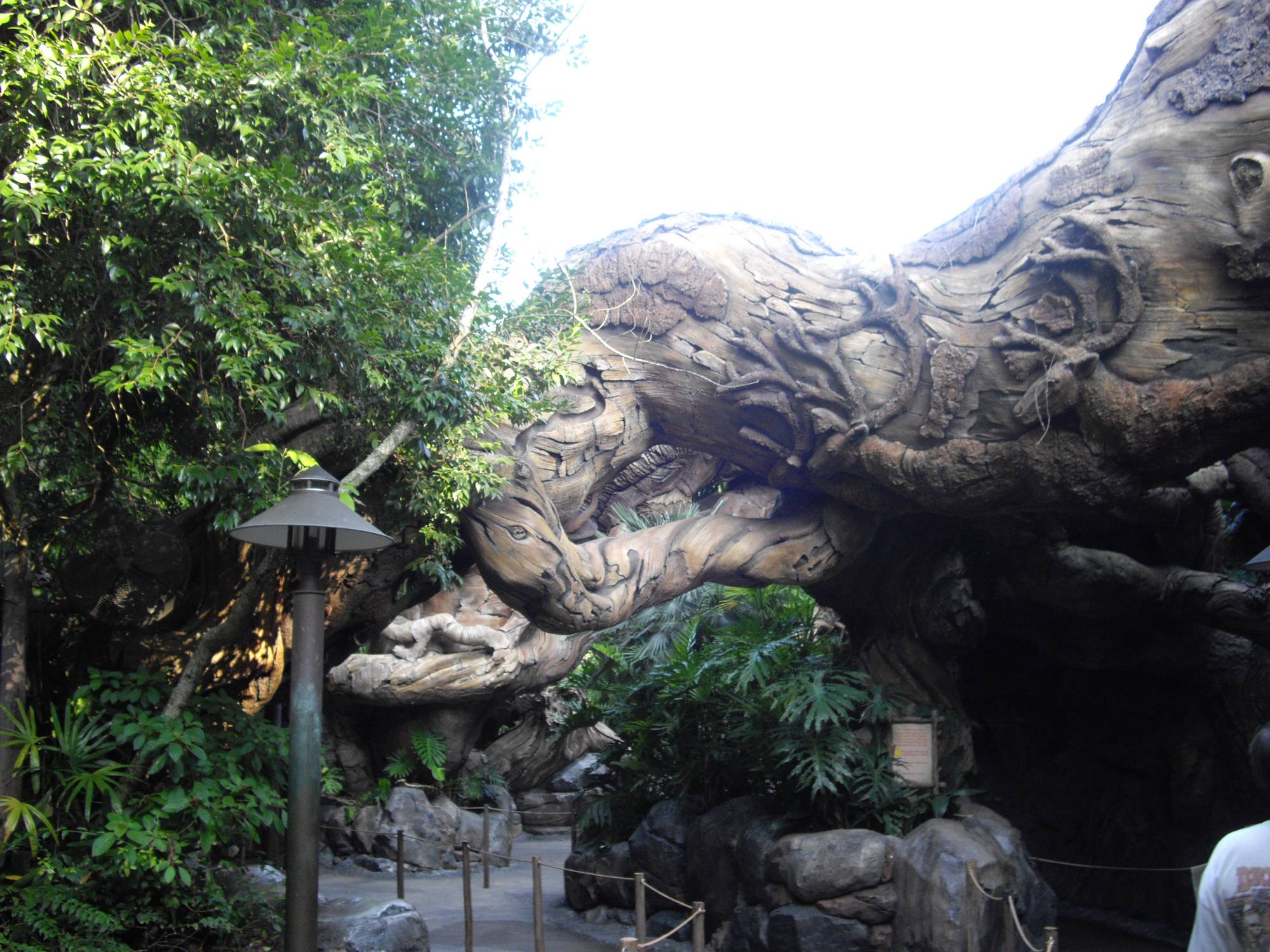 Animal Kingdom - Tree of Life