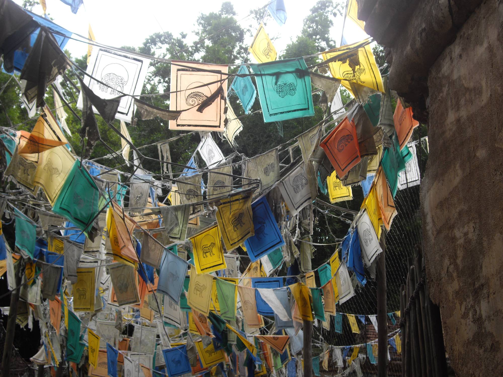 Animal Kingdom - Flags over Maharajah Jungle Trek