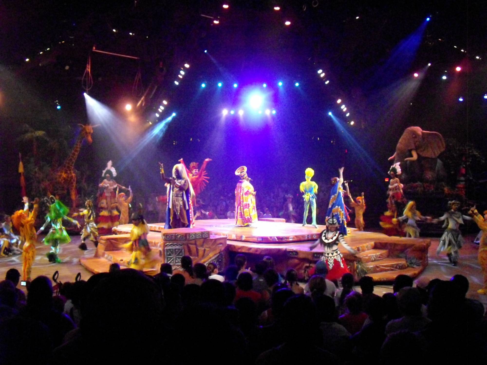 Animal Kingdom - Festival of the Lion King